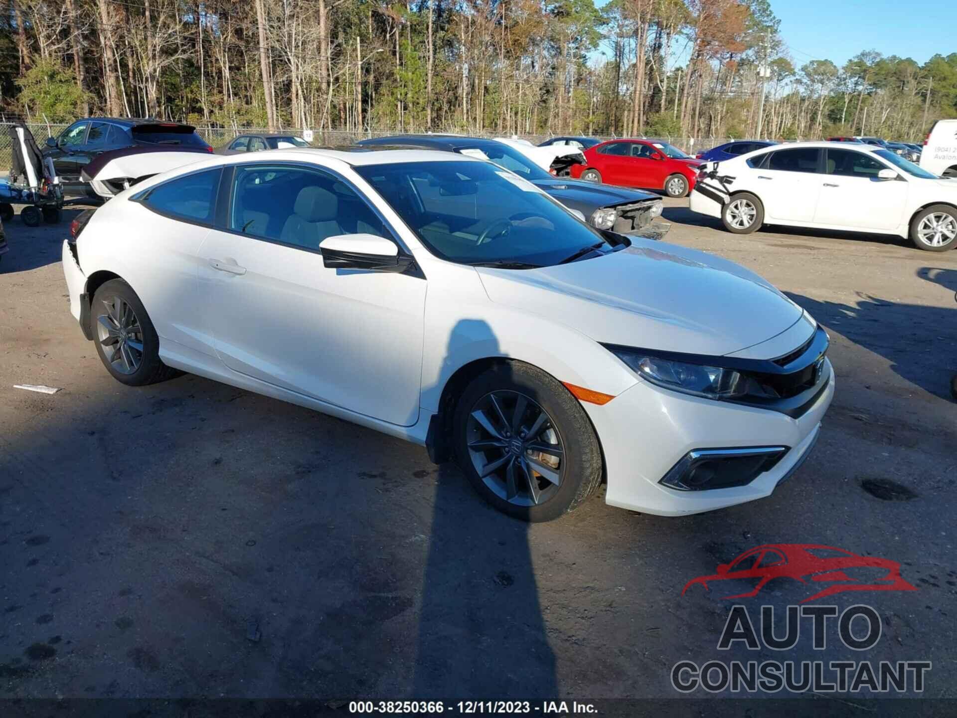 HONDA CIVIC 2019 - 2HGFC3B30KH357494