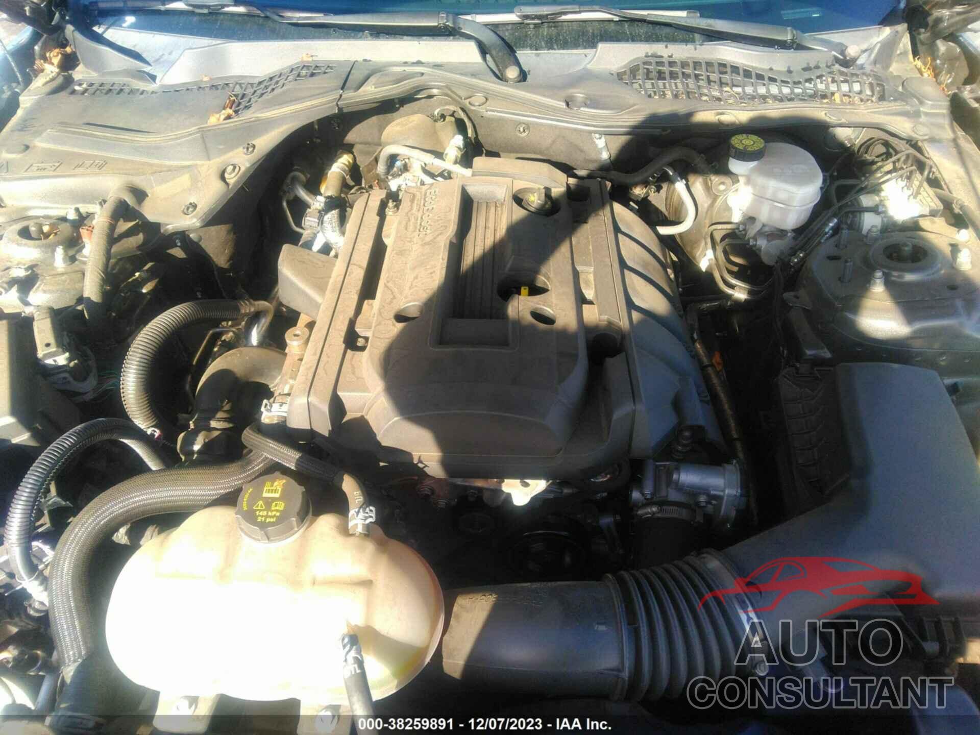 FORD MUSTANG 2020 - 1FA6P8THXL5190165