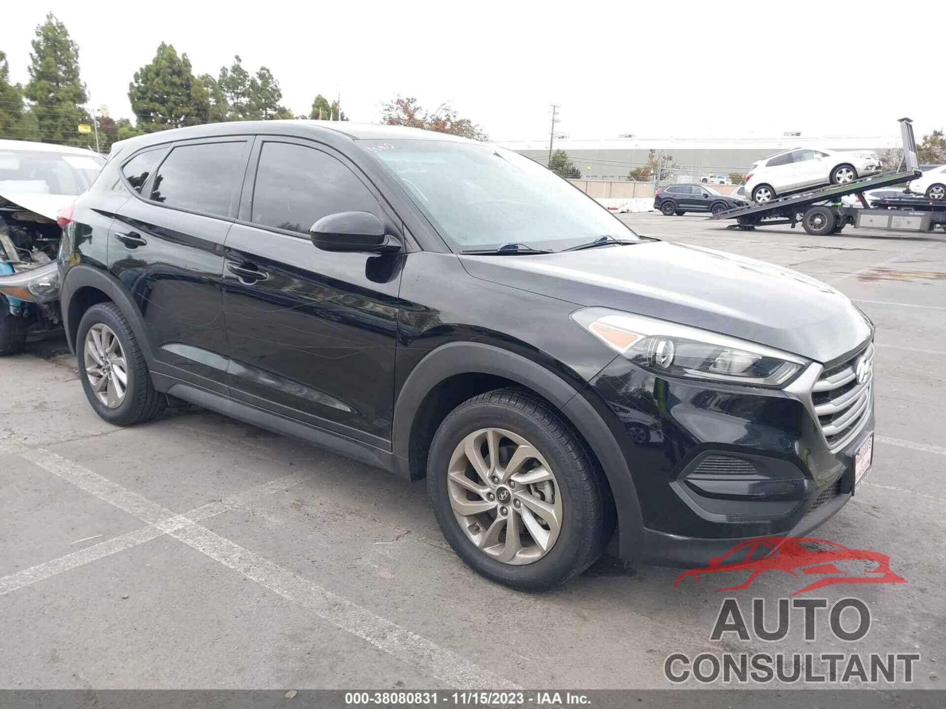 HYUNDAI TUCSON 2017 - KM8J23A45HU333179