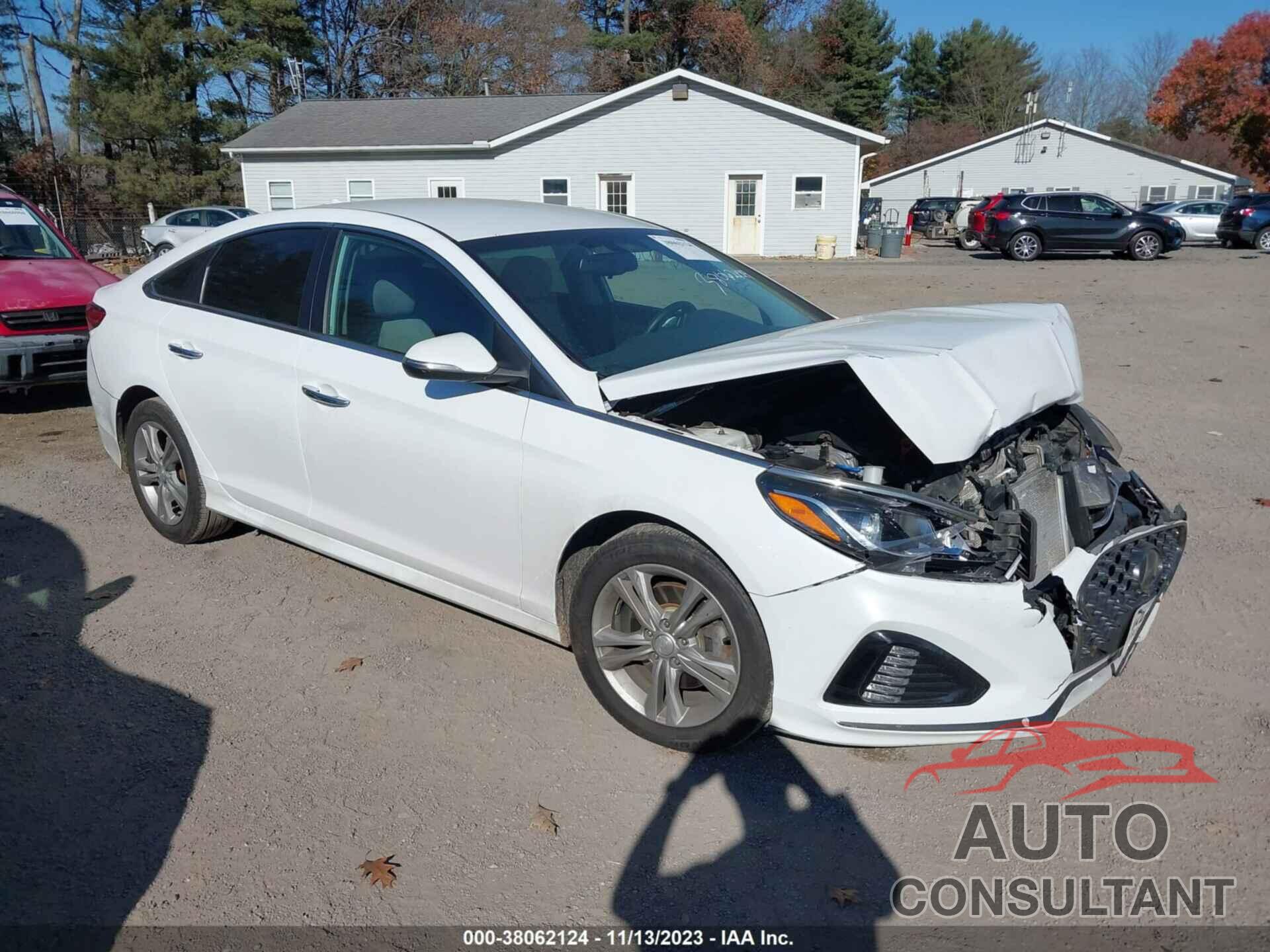 HYUNDAI SONATA 2019 - 5NPE34AF1KH749645