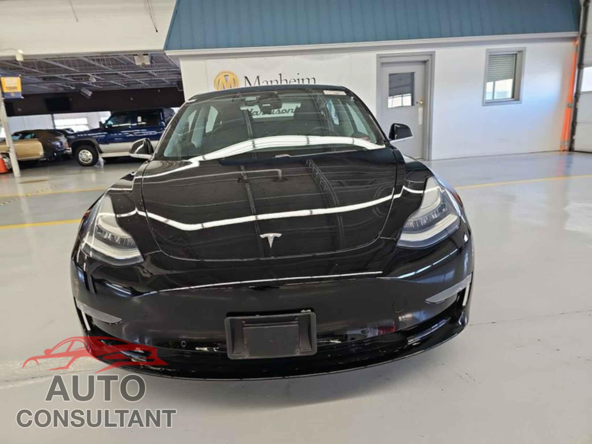 TESLA MODEL 3 2019 - 5YJ3E1EB2KF197191