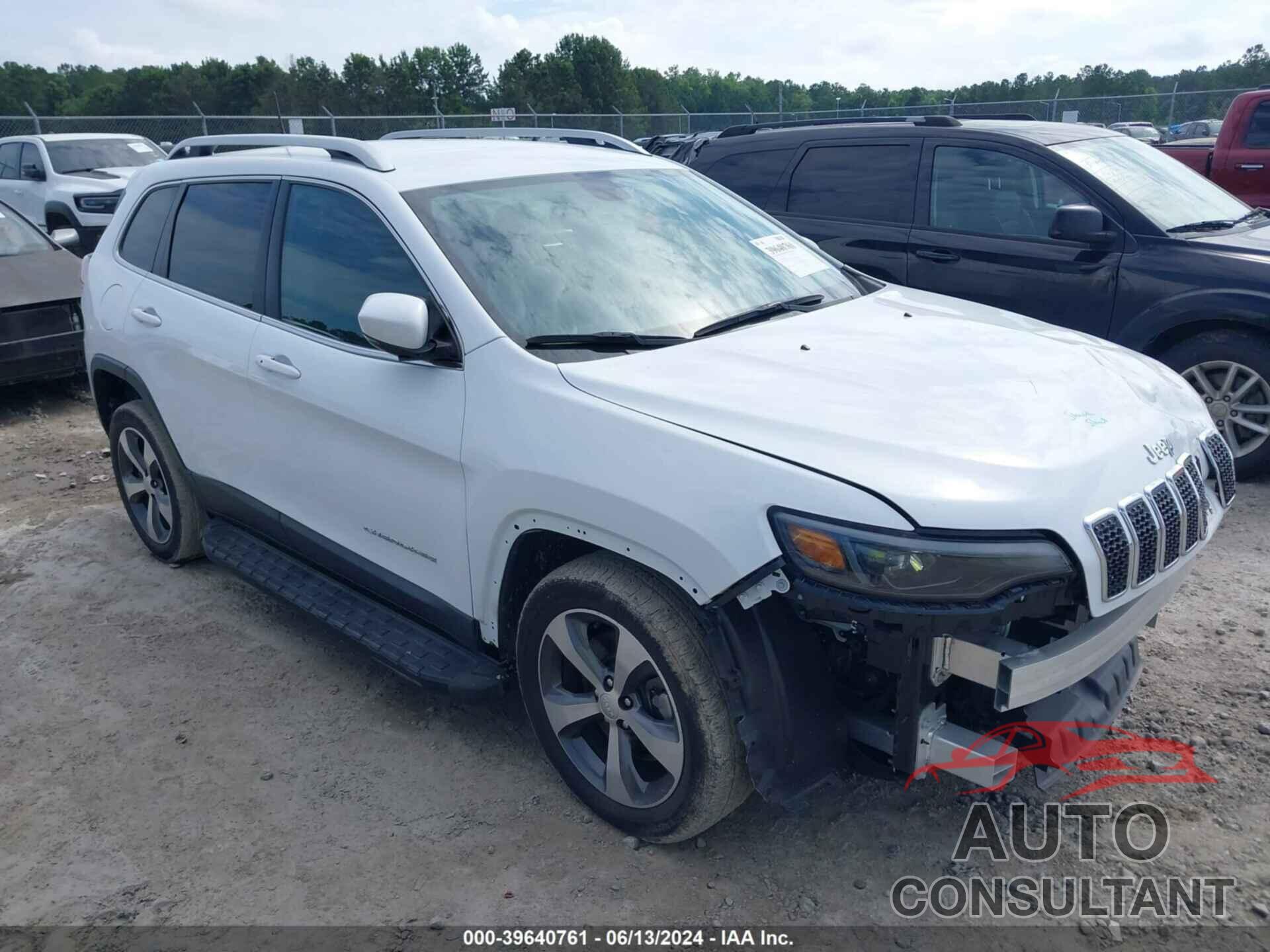 JEEP CHEROKEE 2019 - 1C4PJLDB2KD434313