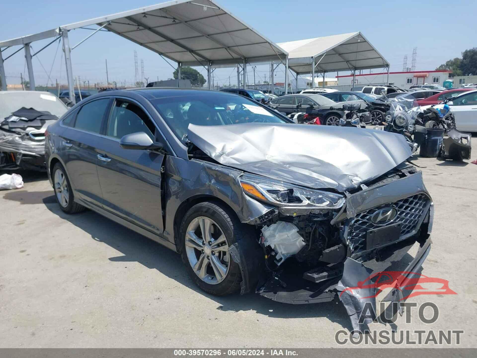 HYUNDAI SONATA 2019 - 5NPE34AF7KH821710