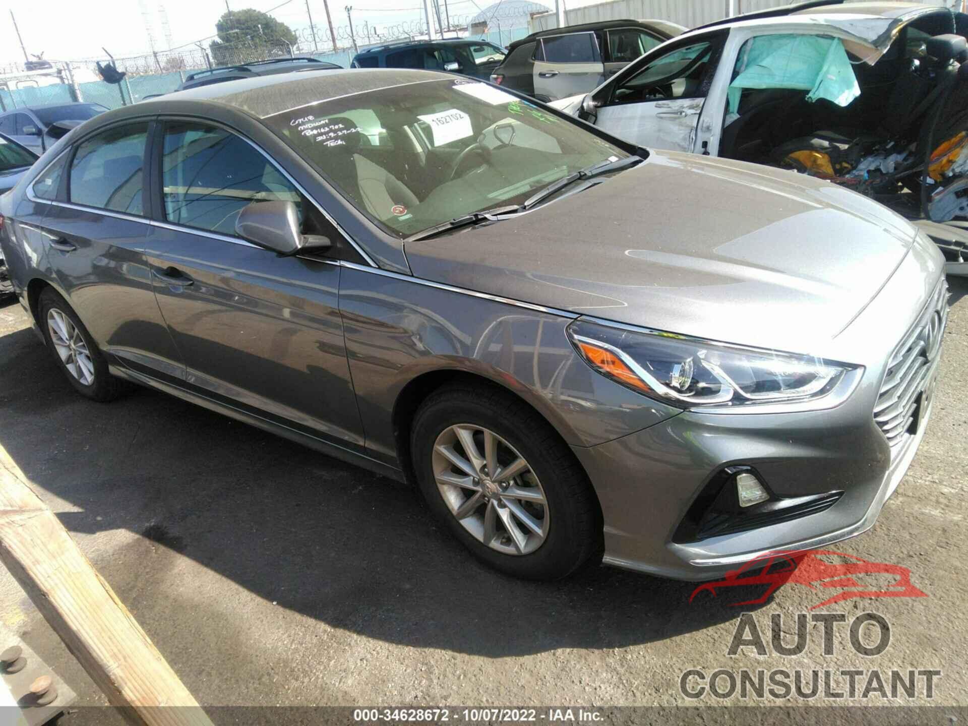 HYUNDAI SONATA 2019 - 5NPE24AF4KH791620
