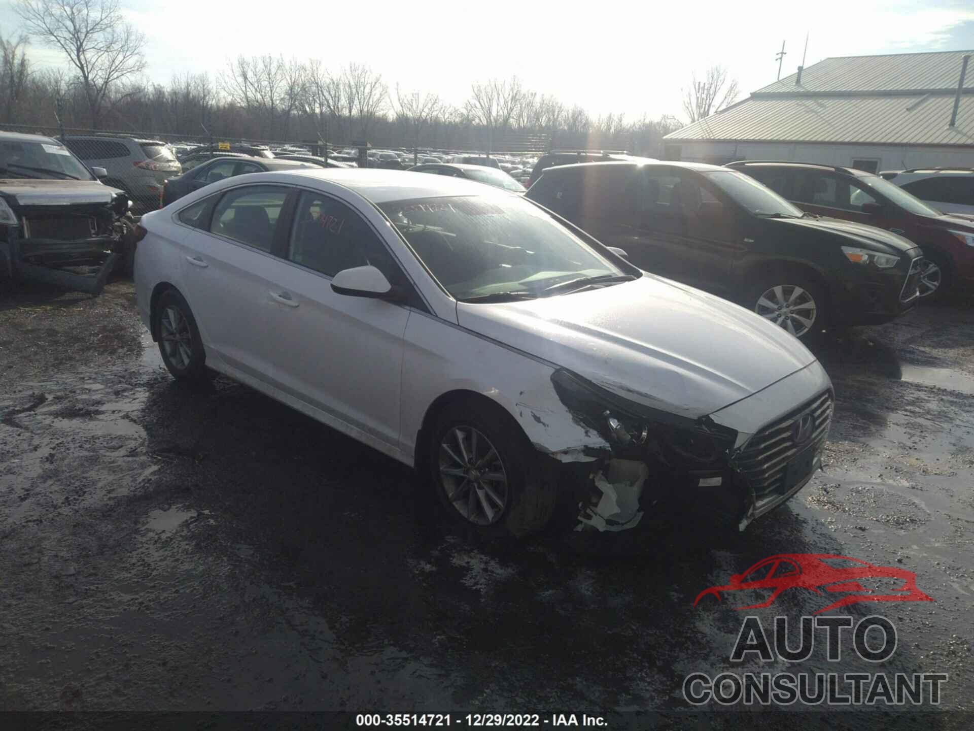 HYUNDAI SONATA 2019 - 5NPE24AF3KH753568
