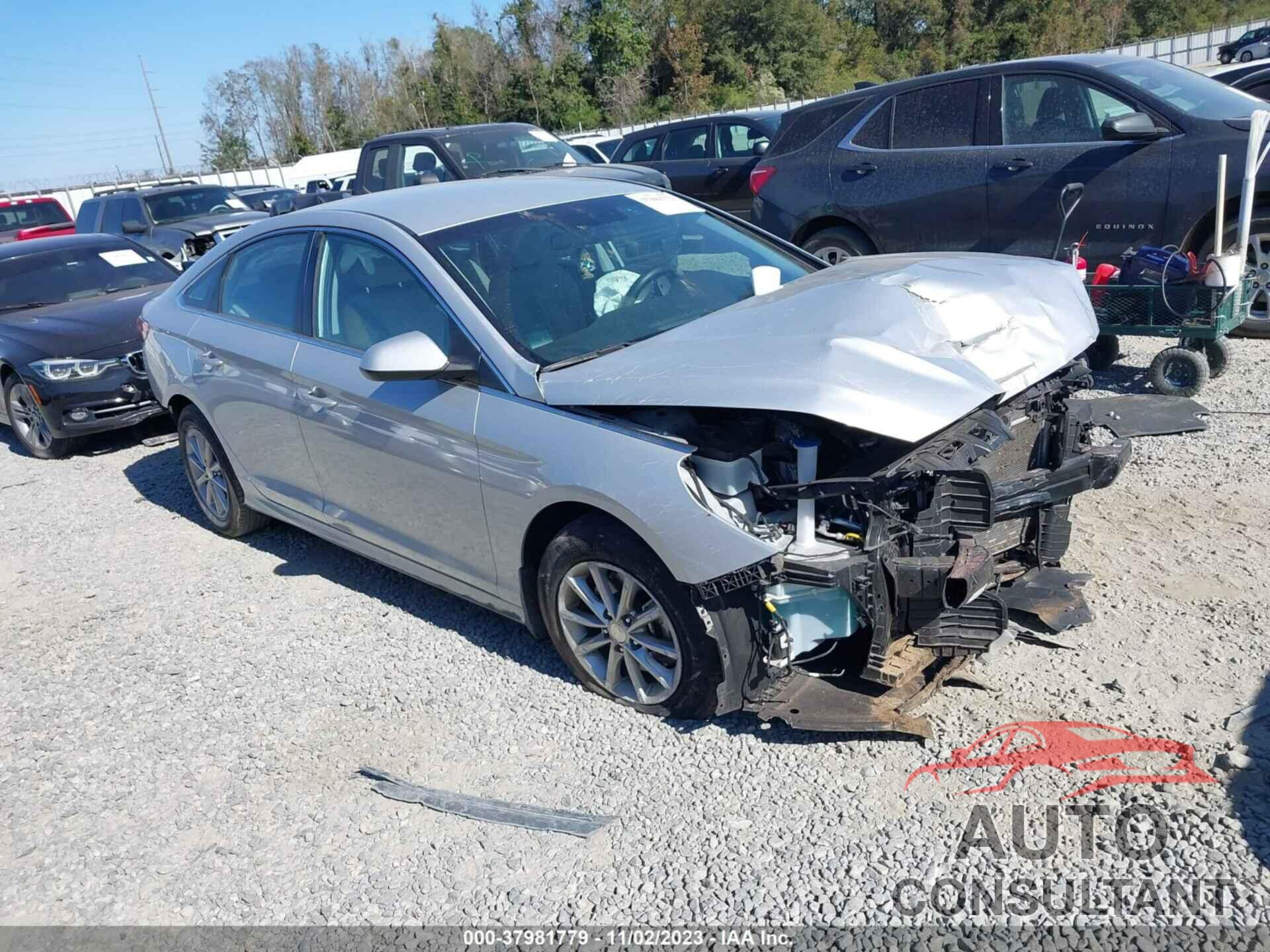 HYUNDAI SONATA 2019 - 5NPE24AF5KH800048