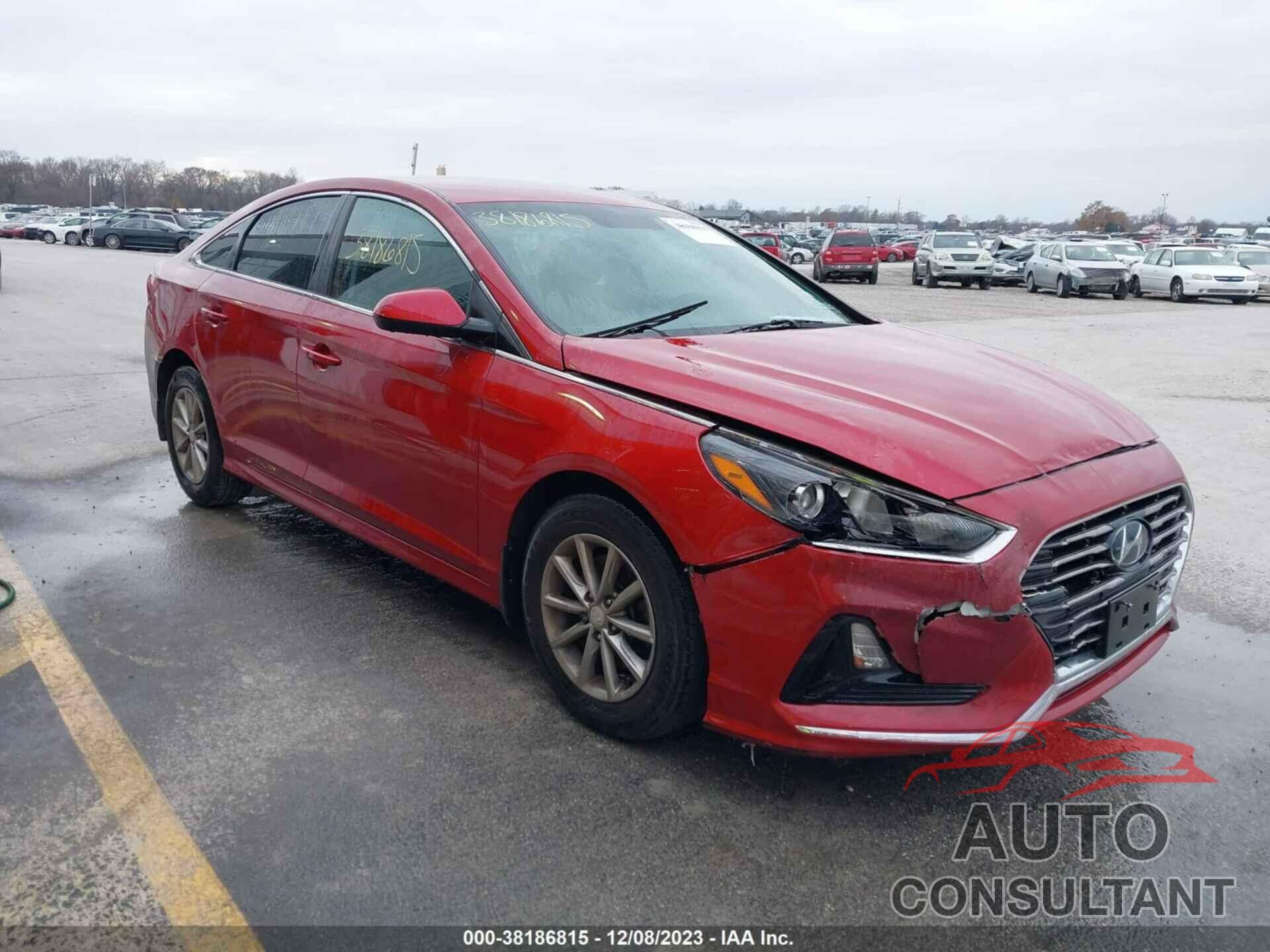 HYUNDAI SONATA 2019 - 5NPE24AF5KH807260