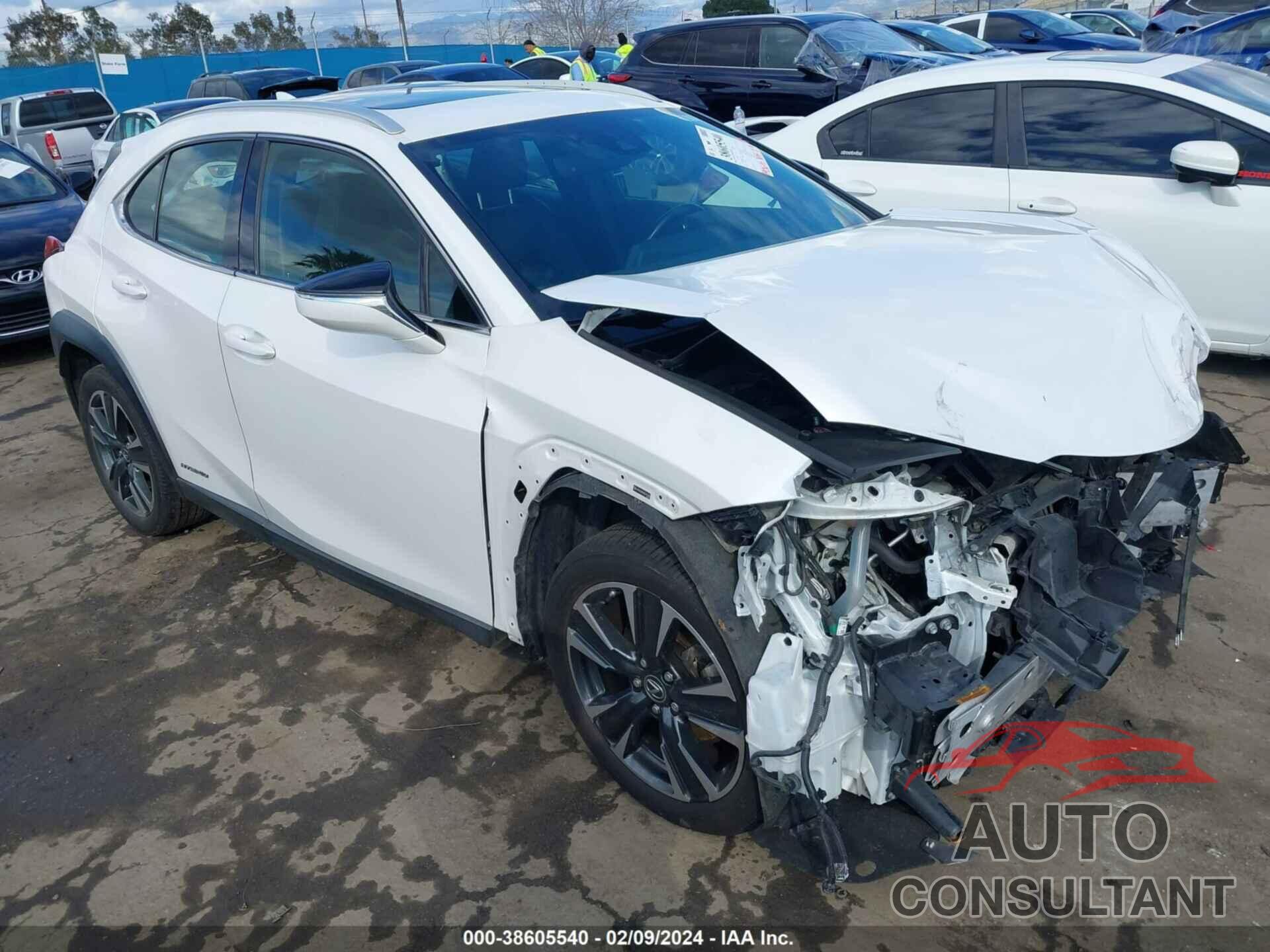 LEXUS UX 250H 2019 - JTHU9JBH0K2013546