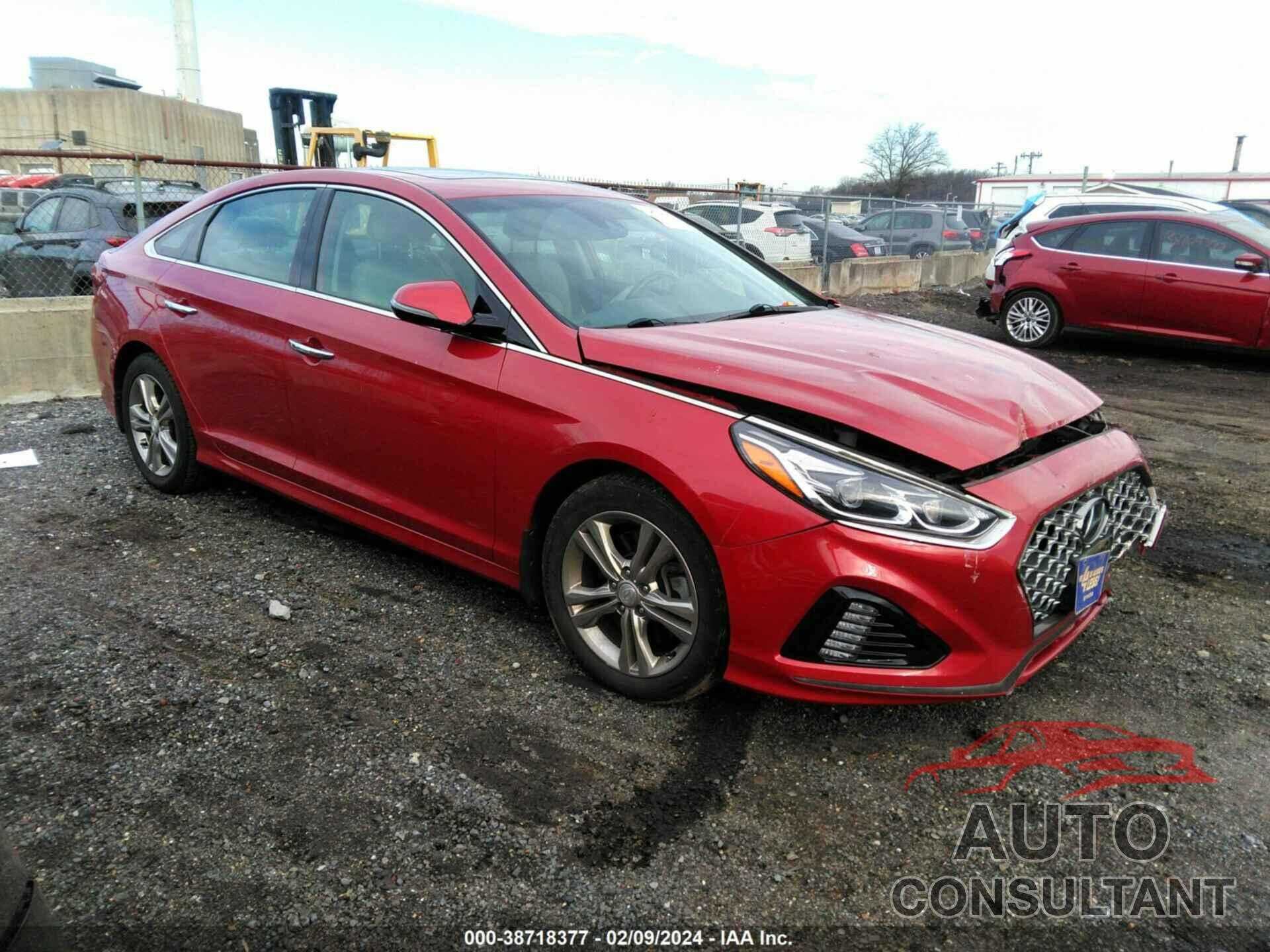 HYUNDAI SONATA 2019 - 5NPE34AF3KH814768