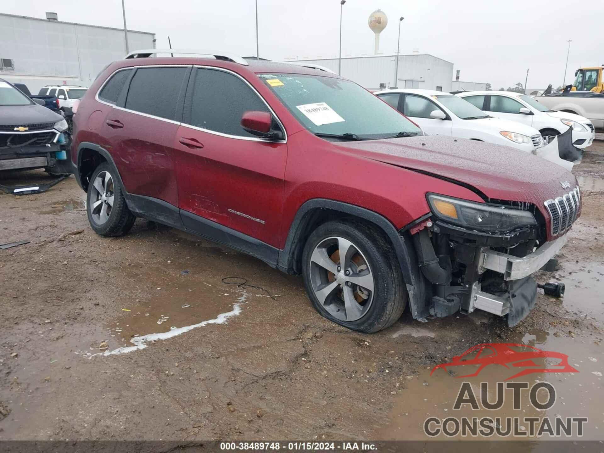 JEEP CHEROKEE 2019 - 1C4PJLDN5KD196242