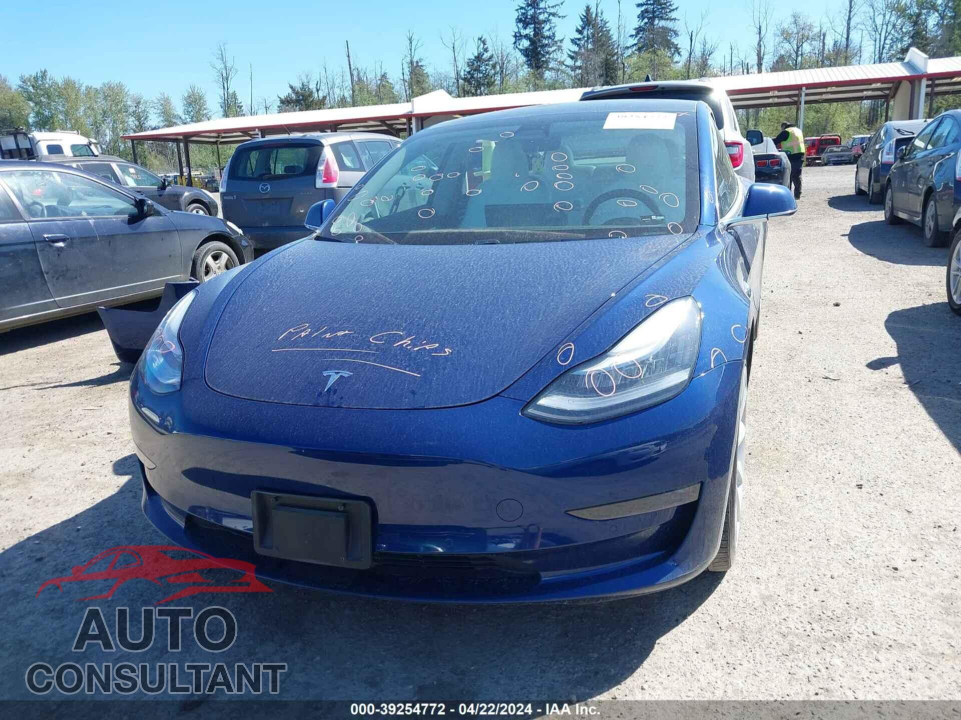 TESLA MODEL 3 2019 - 5YJ3E1EA3KF417879