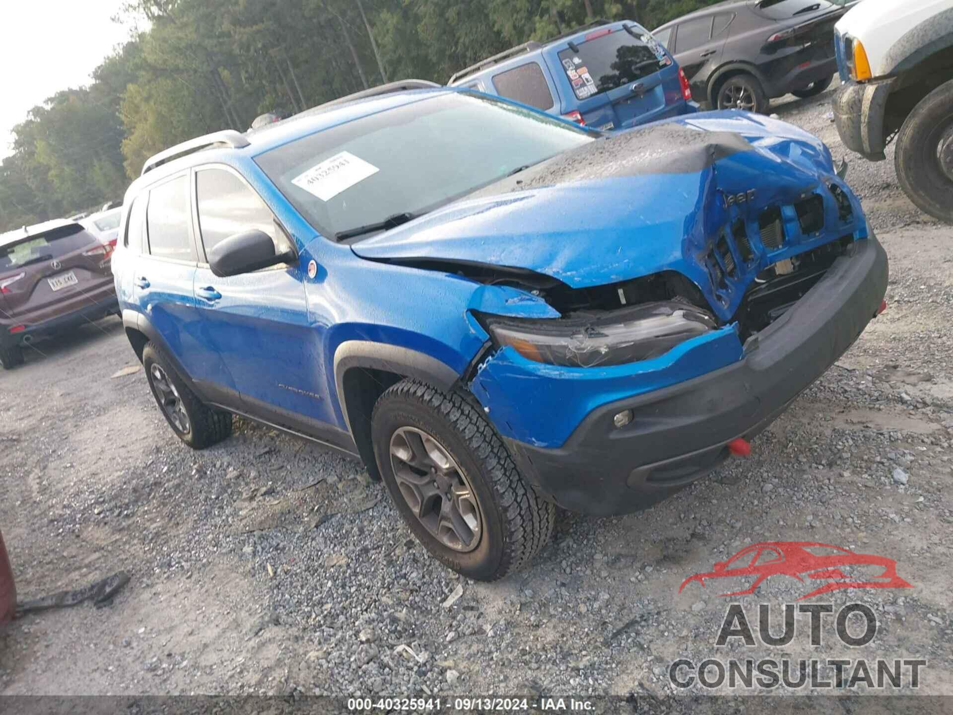 JEEP CHEROKEE 2019 - 1C4PJMBX2KD338153