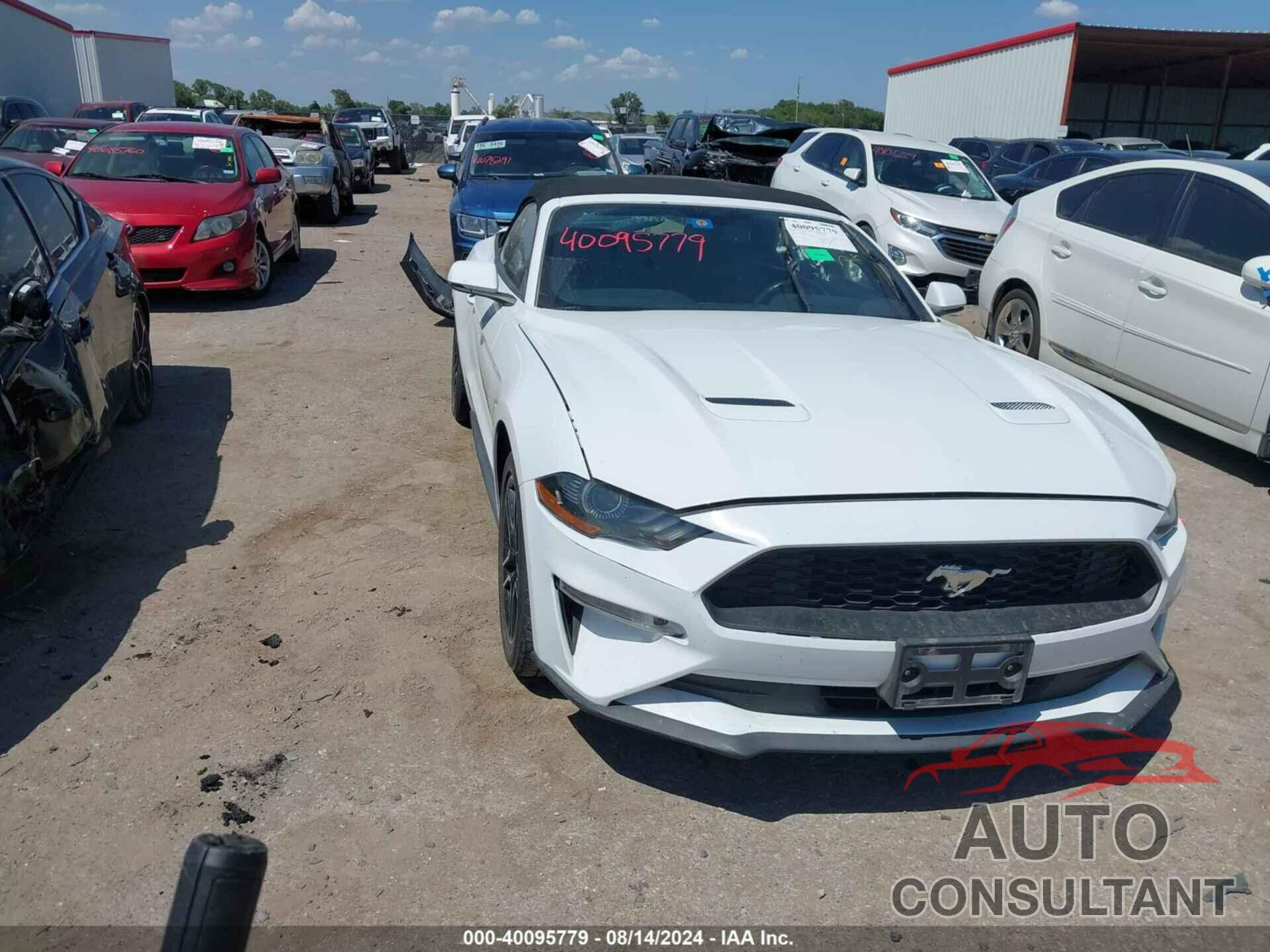 FORD MUSTANG 2019 - 1FATP8UH9K5109270