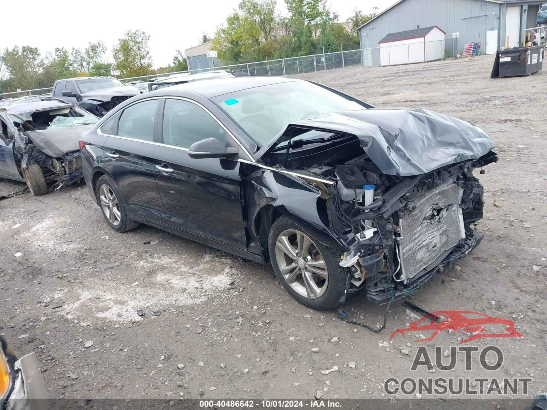 HYUNDAI SONATA 2019 - 5NPE34AF7KH778499