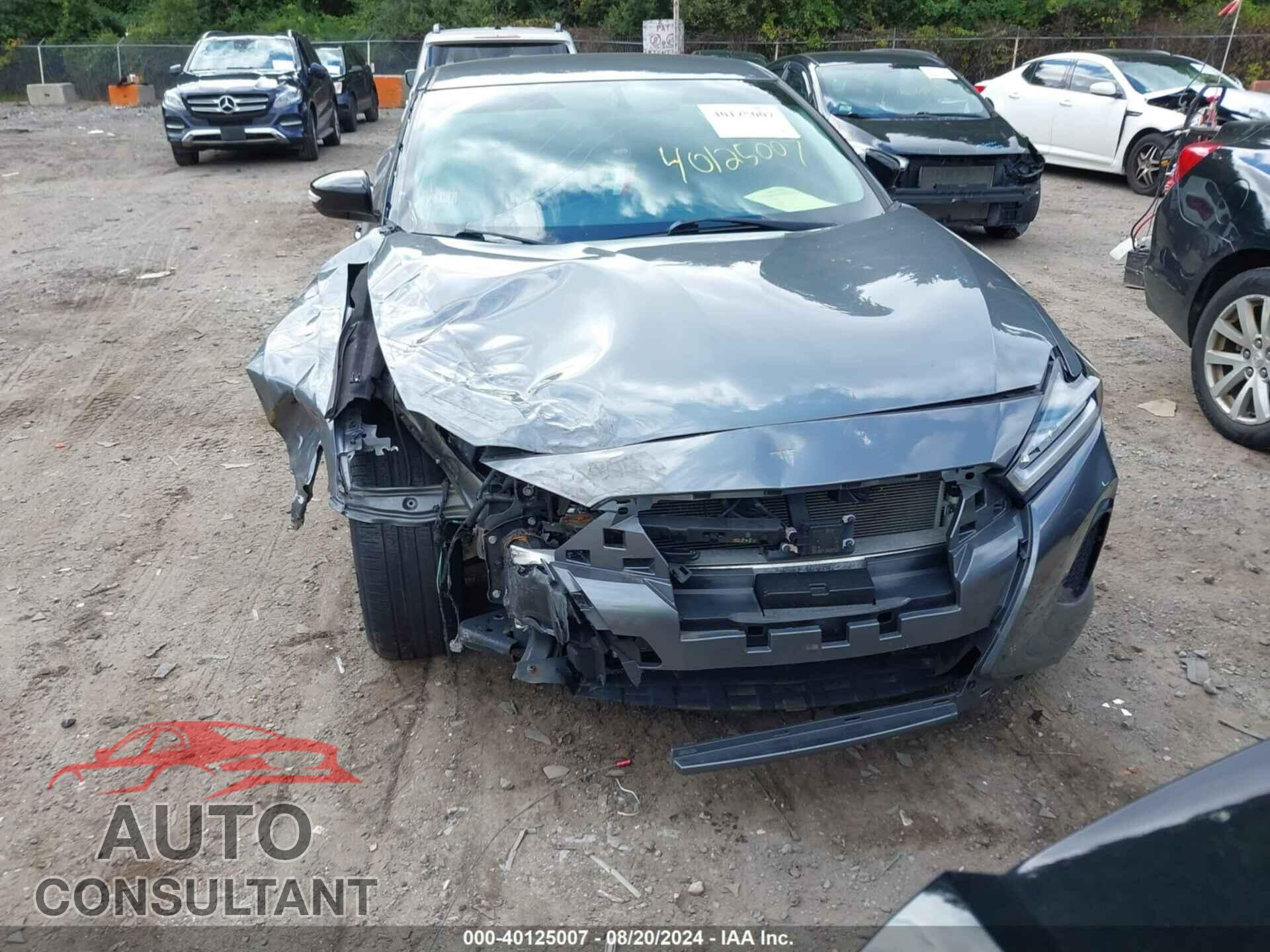 NISSAN MAXIMA 2019 - 1N4AA6AV0KC371679