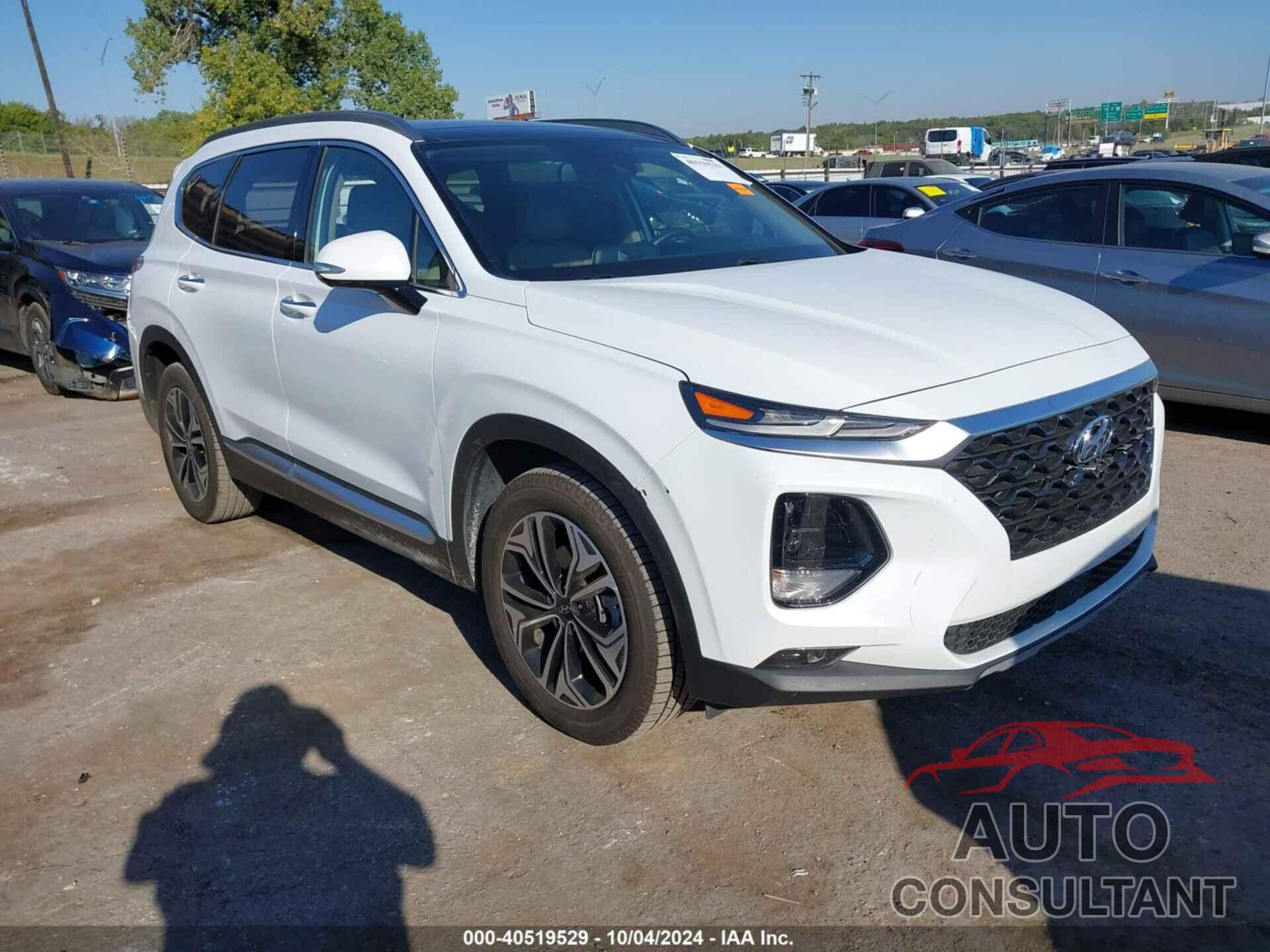 HYUNDAI SANTA FE 2019 - 5NMS53AA7KH041070