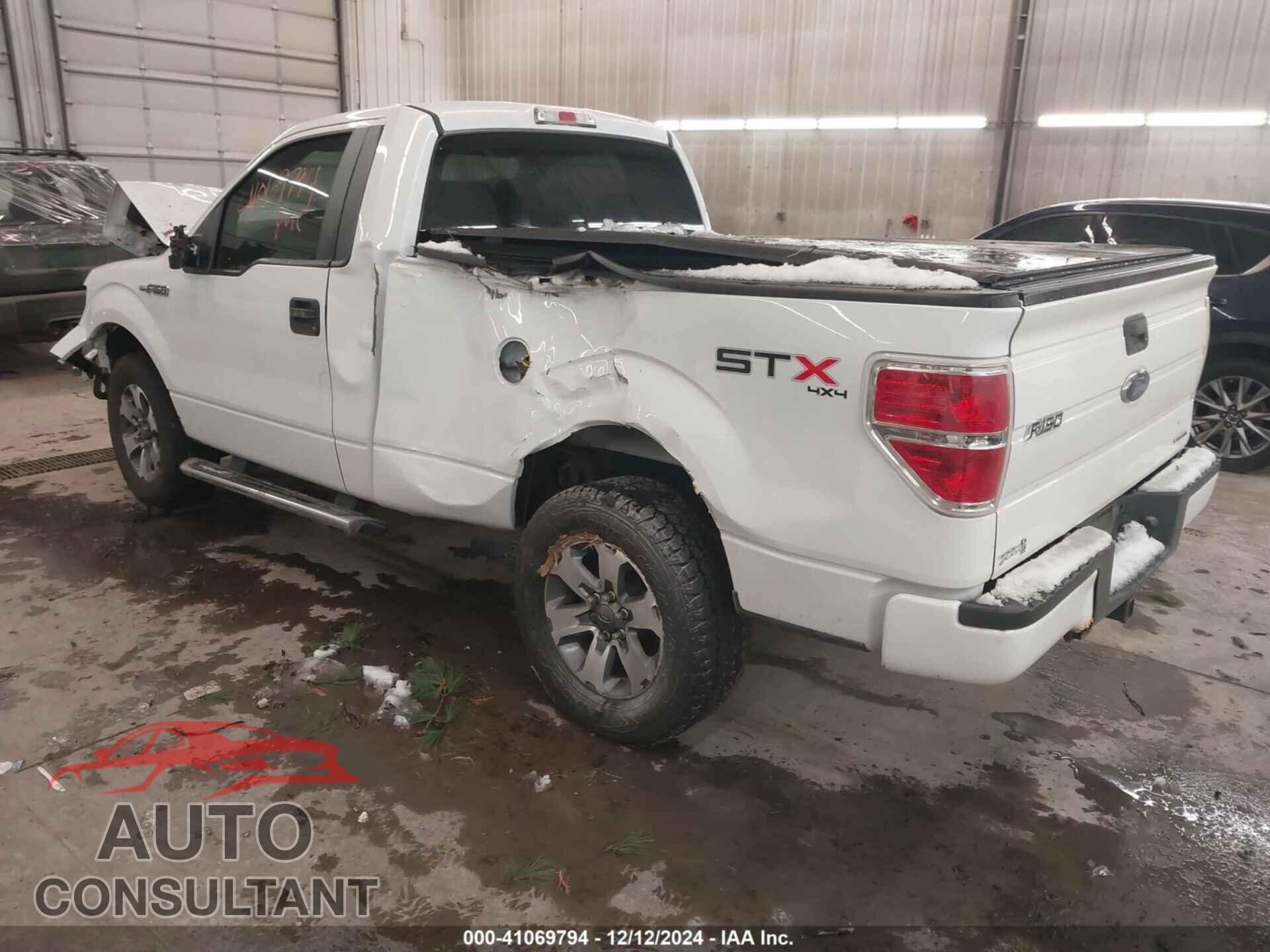FORD F-150 2013 - 1FTMF1EF4DFD41360
