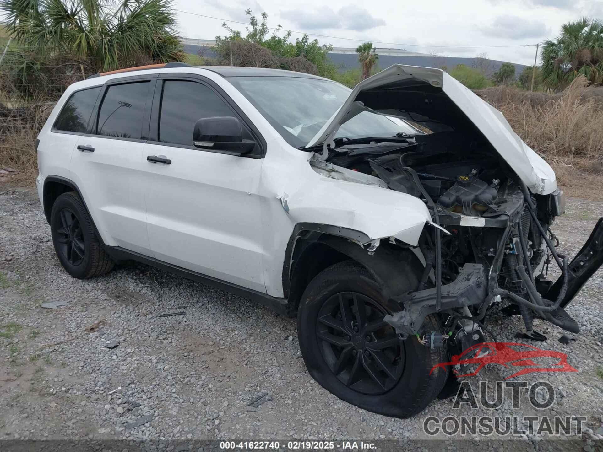JEEP GRAND CHEROKEE 2017 - 1C4RJEBG8HC765835