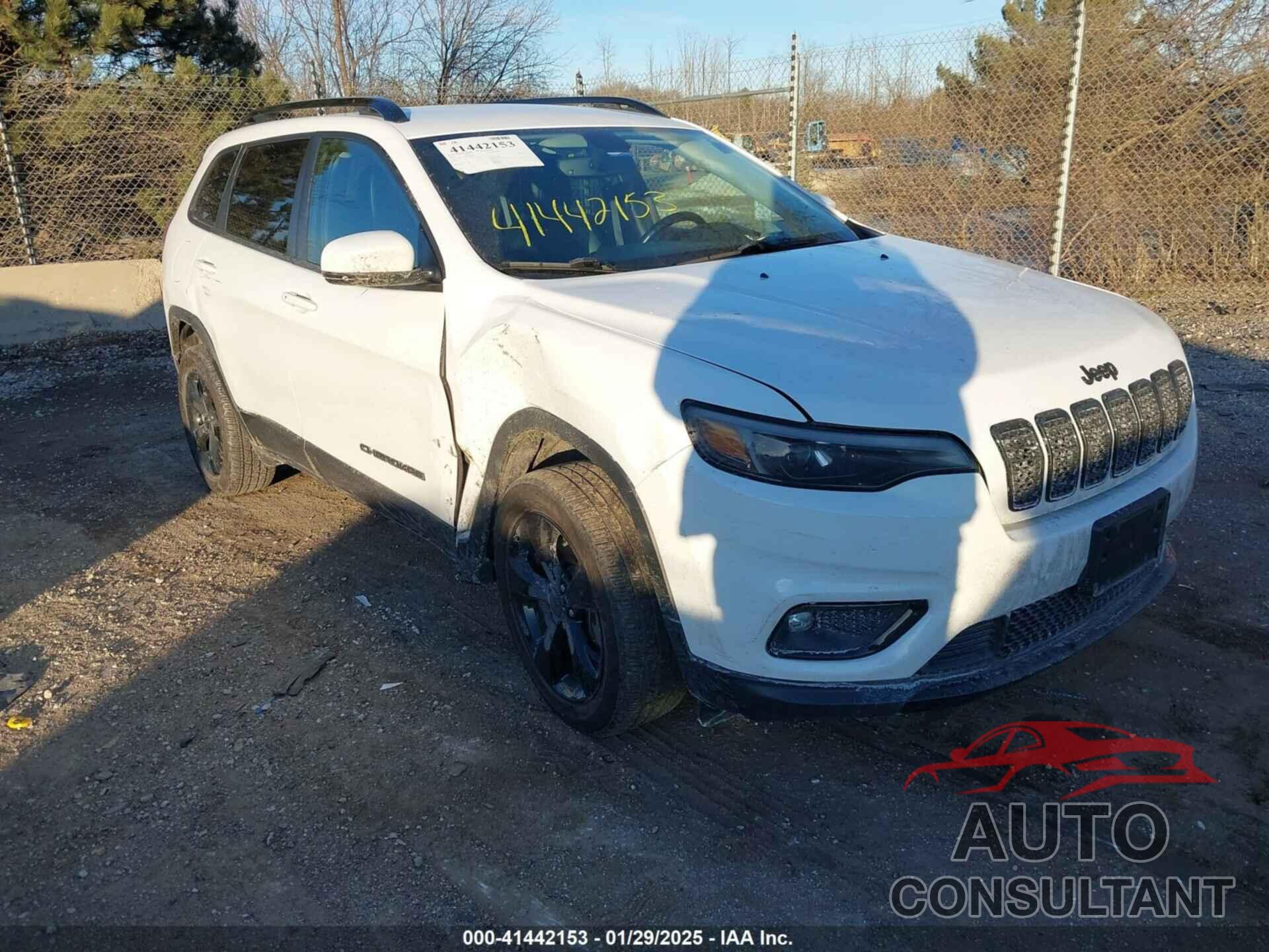 JEEP CHEROKEE 2019 - 1C4PJLLN3KD286488