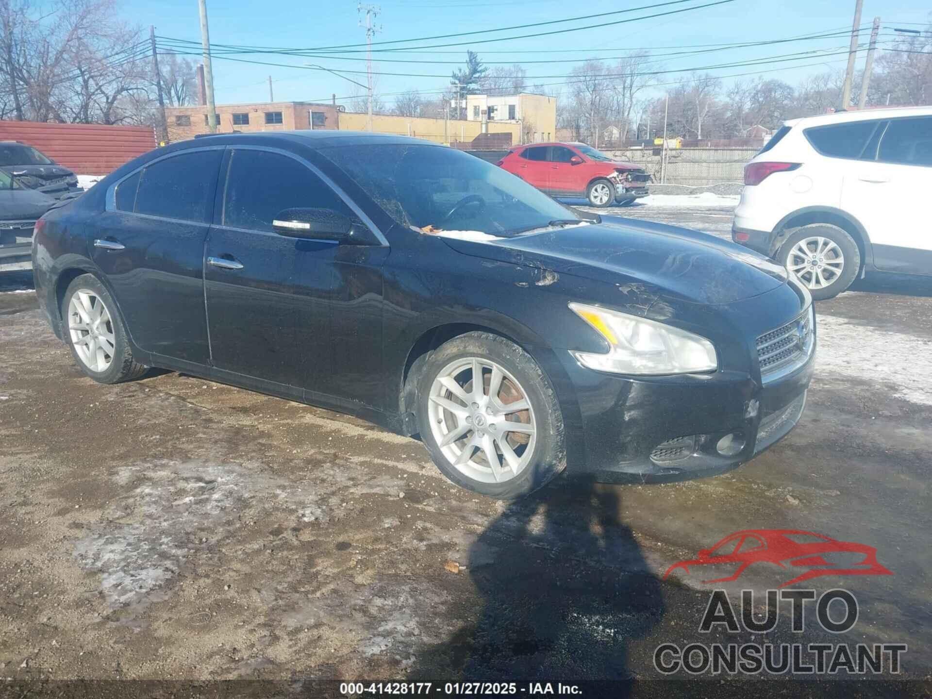 NISSAN MAXIMA 2009 - 1N4AA51E59C860311