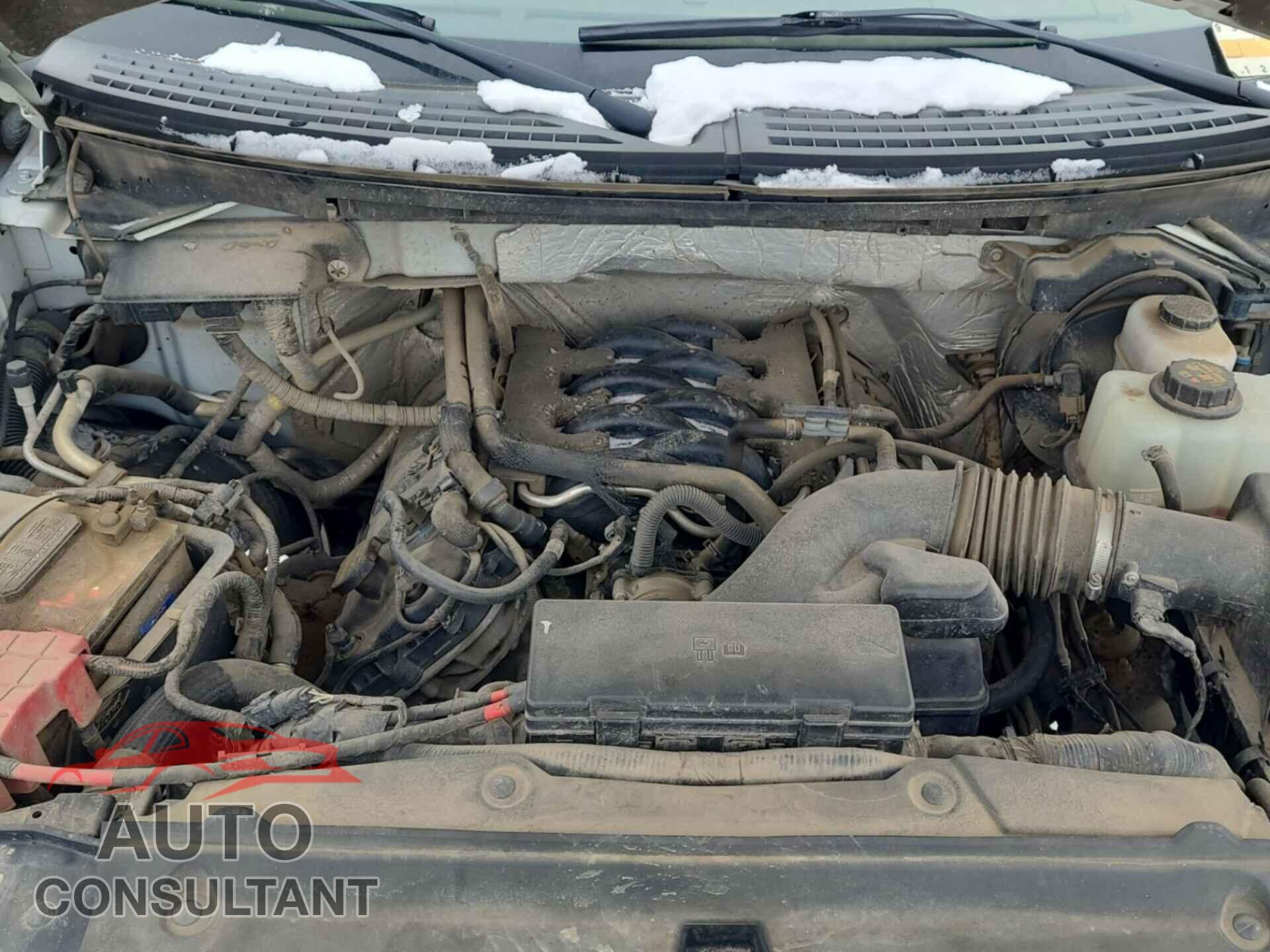 FORD F-150 2011 - 1FTNF1EF8BKD80347