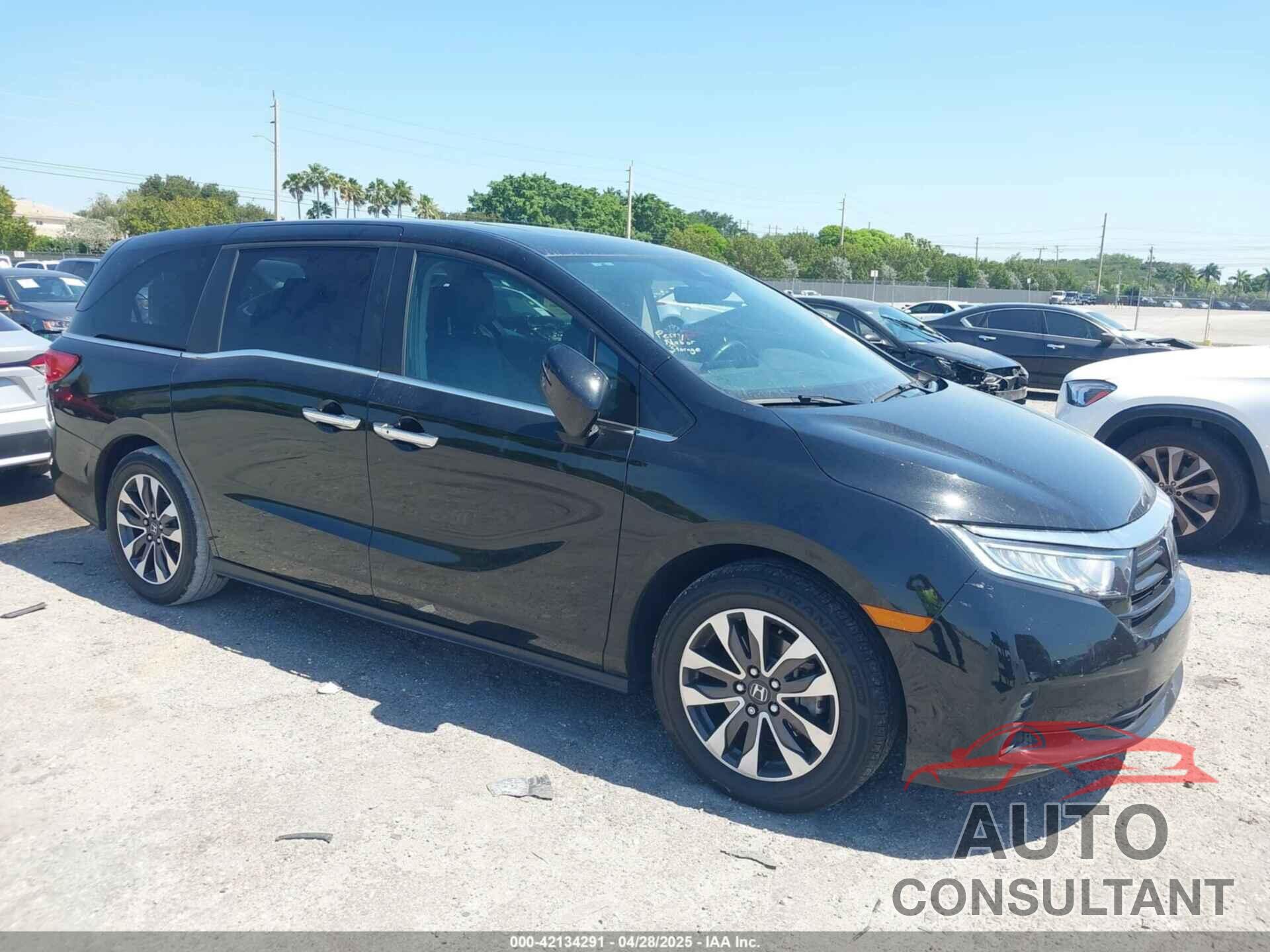 HONDA ODYSSEY 2024 - 5FNRL6H68RB017184