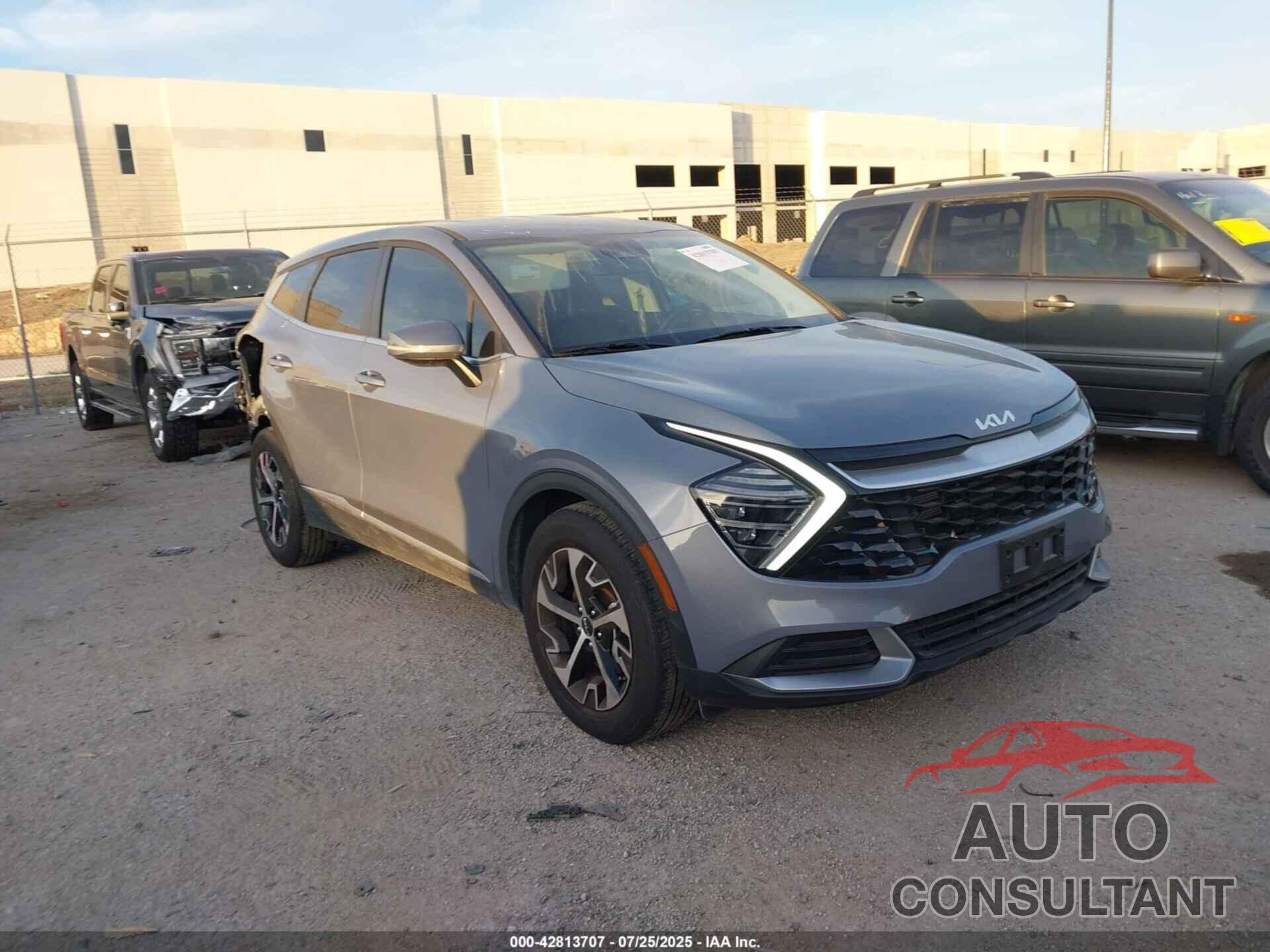 KIA SPORTAGE 2024 - 5XYK33DF2RG162669