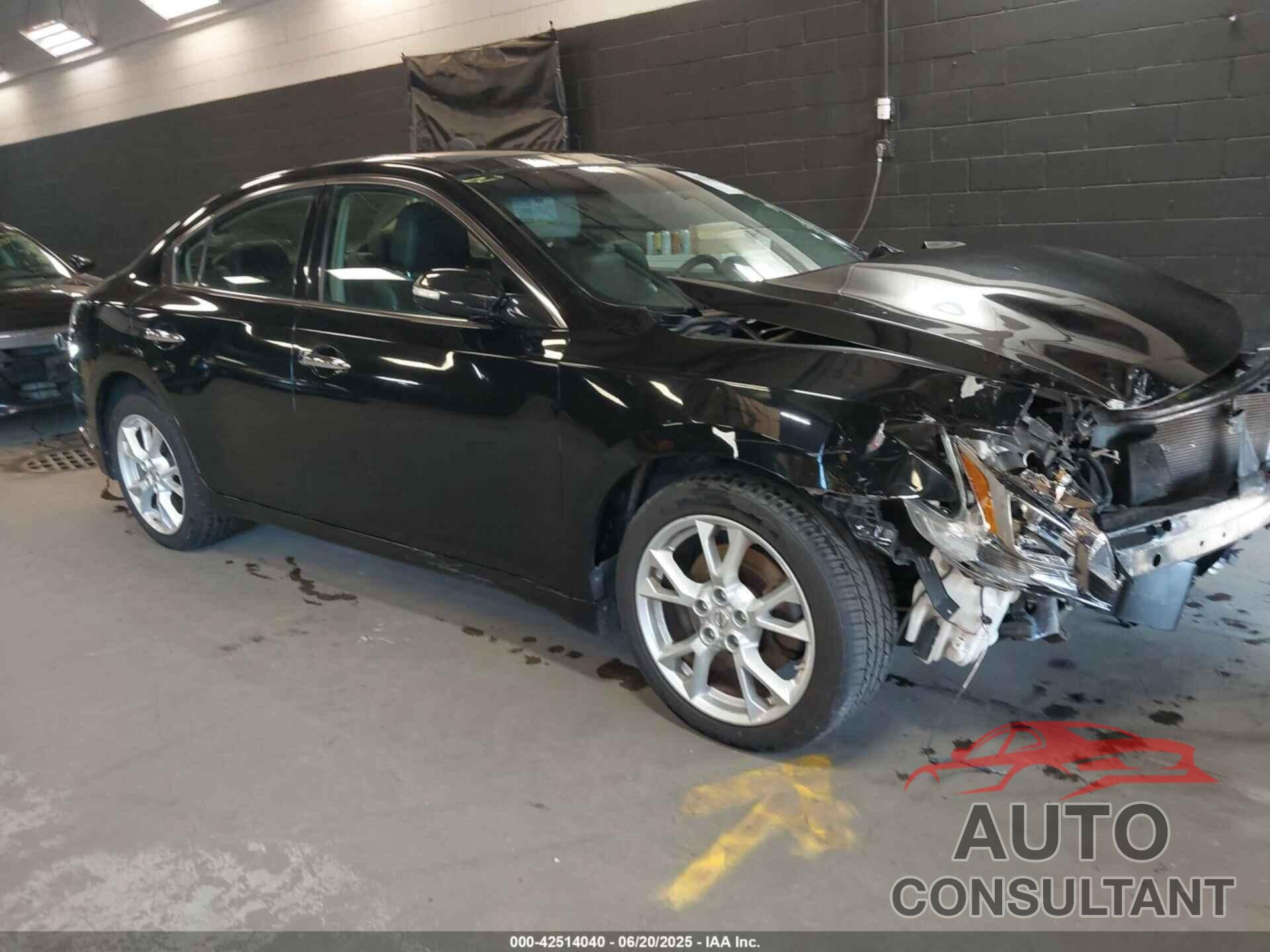 NISSAN MAXIMA 2013 - 1N4AA5AP1DC843984