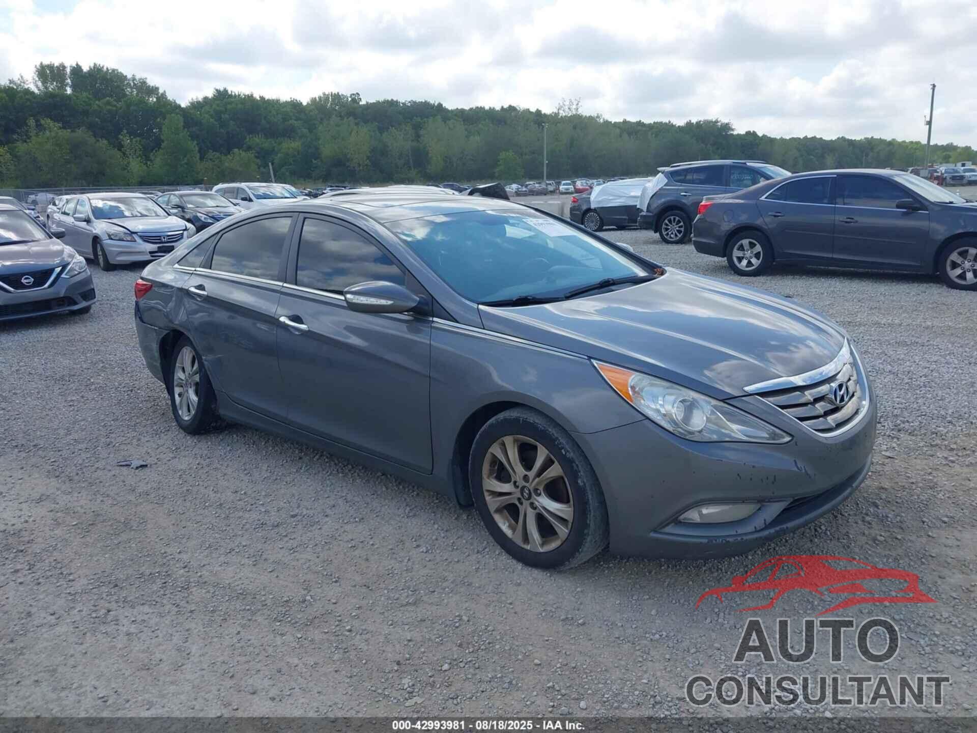 HYUNDAI SONATA 2013 - 5NPEC4AC9DH774589