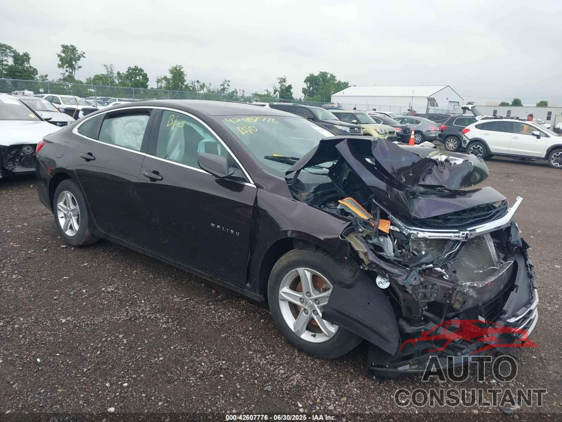 CHEVROLET MALIBU 2020 - 1G1ZB5ST2LF126750