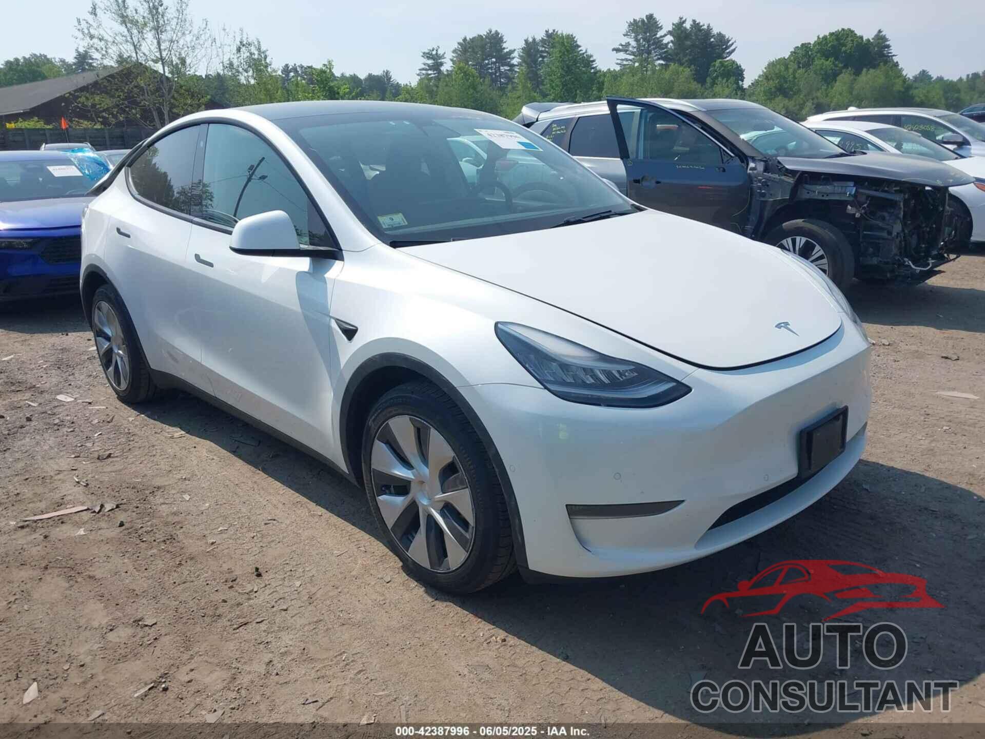 TESLA MODEL Y 2020 - 5YJYGDEEXLF028453