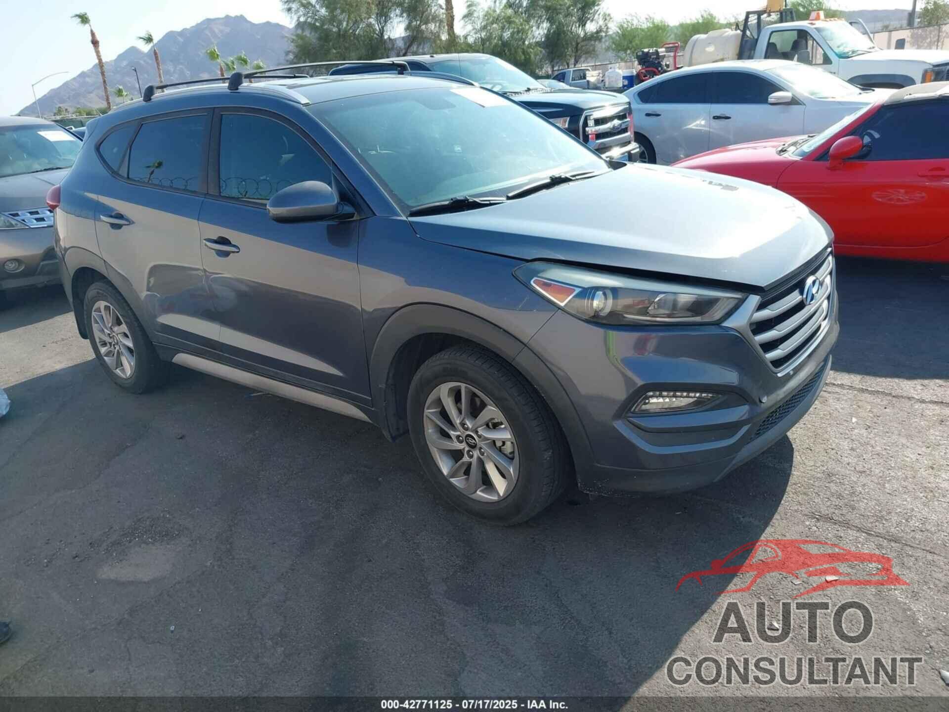 HYUNDAI TUCSON 2017 - KM8J33A43HU562506