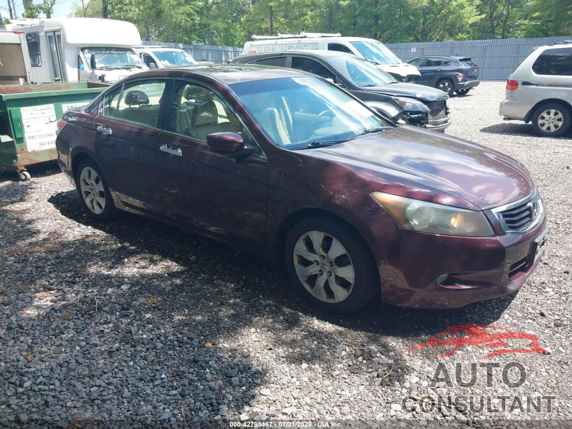 HONDA ACCORD 2010 - 5KBCP3F81AB013271