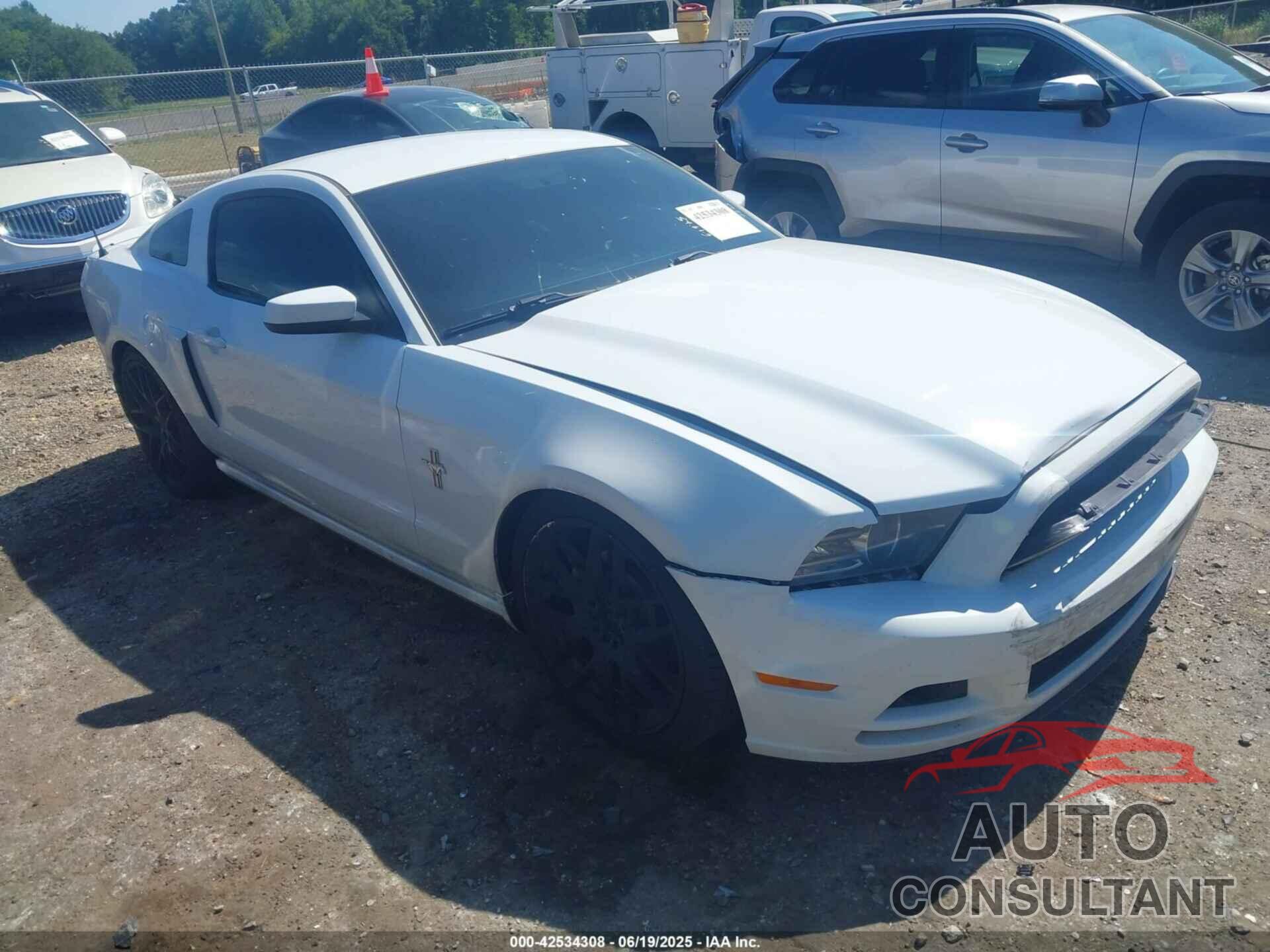 FORD MUSTANG 2014 - 1ZVBP8AM4E5282462