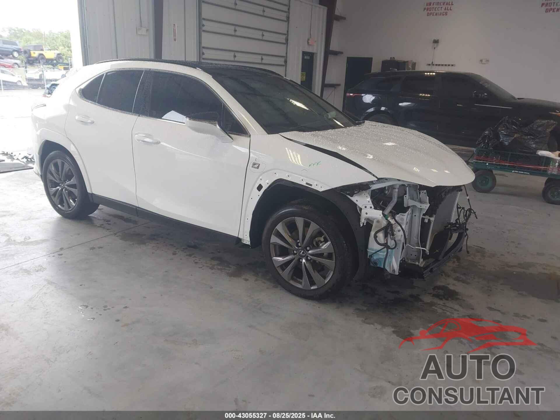 LEXUS UX 250H 2023 - JTHR6JBH5P2142839