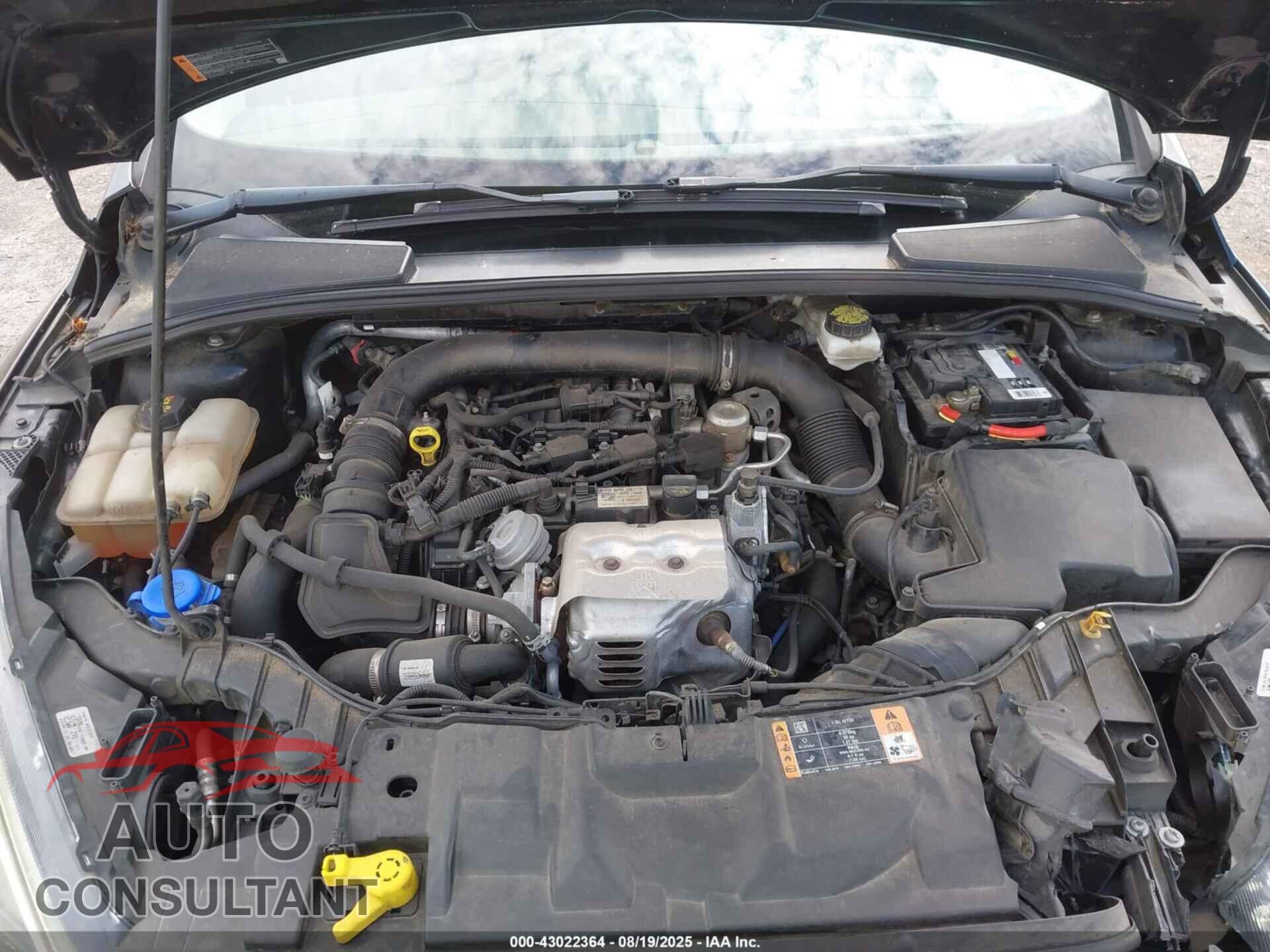 FORD FOCUS 2017 - 1FADP3FEXHL233773