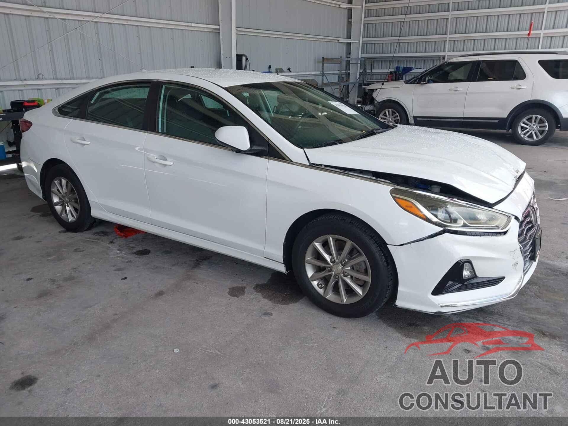 HYUNDAI SONATA 2019 - 5NPE24AF8KH743554