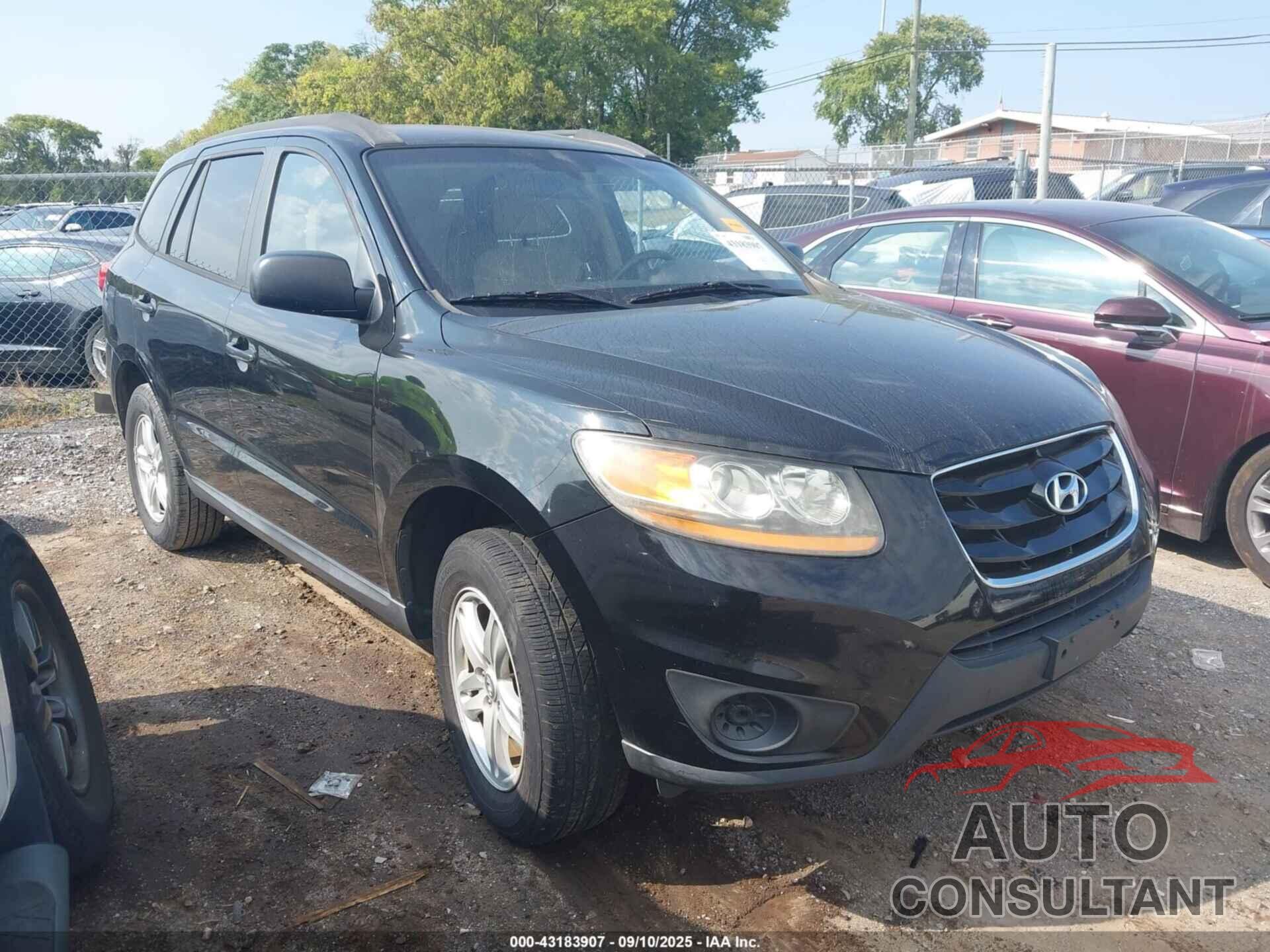 HYUNDAI SANTA FE 2010 - 5NMSG3AB4AH339884