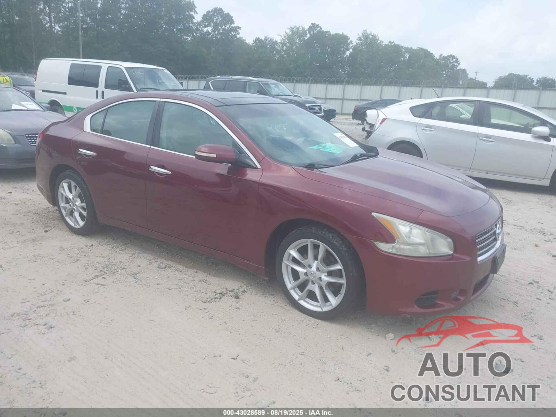 NISSAN MAXIMA 2010 - 1N4AA5AP0AC816240