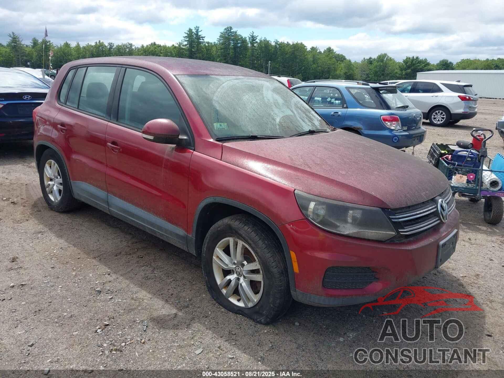 VOLKSWAGEN TIGUAN 2012 - WVGBV7AX8CW082846