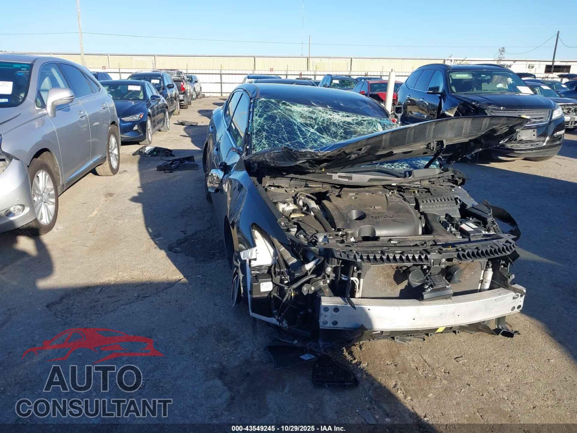 NISSAN MAXIMA 2020 - 1N4AA6CVXLC367914