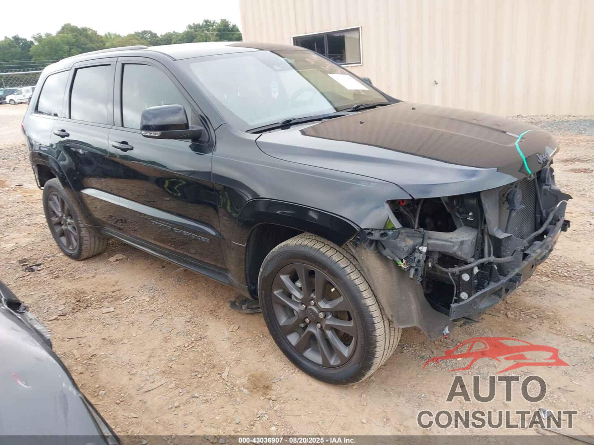 JEEP GRAND CHEROKEE 2019 - 1C4RJECG9KC662722