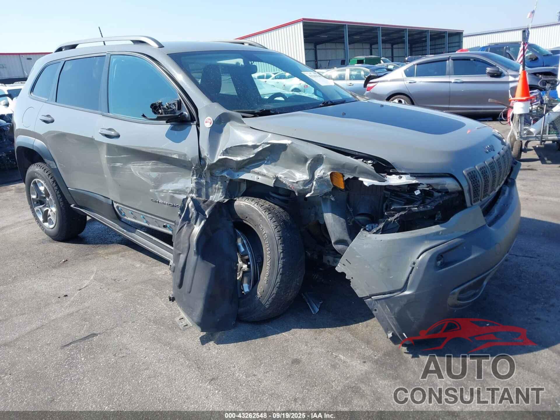 JEEP CHEROKEE 2019 - 1C4PJMBX2KD437779