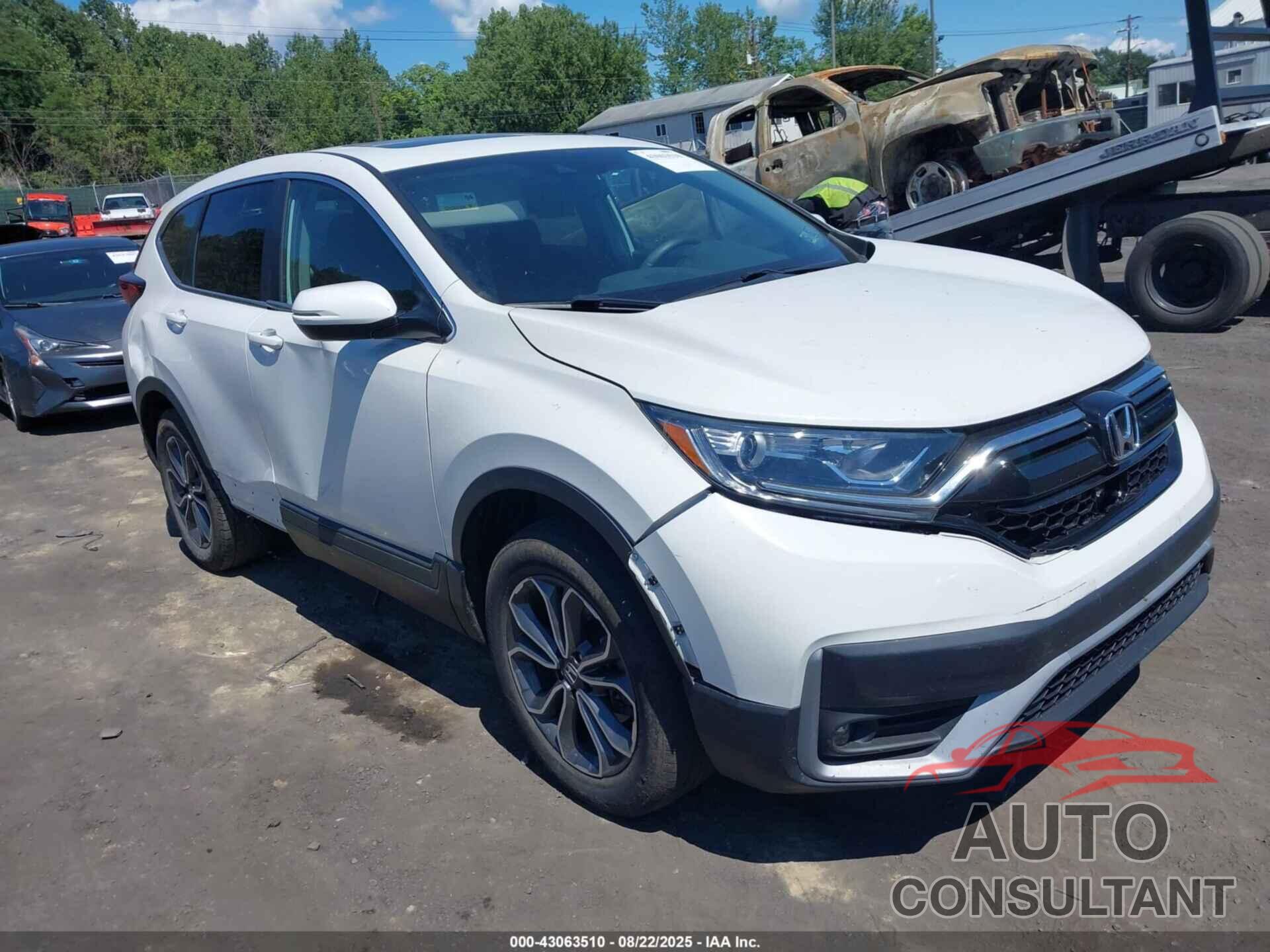 HONDA CR-V 2022 - 2HKRW2H52NH615659