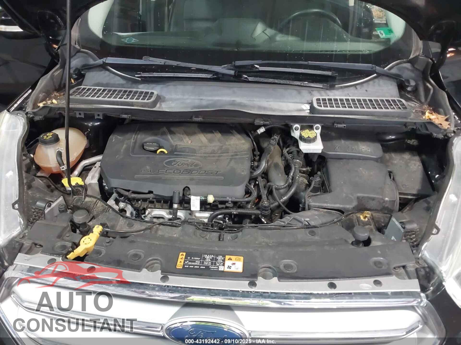 FORD ESCAPE 2017 - 1FMCU0JD7HUA18532