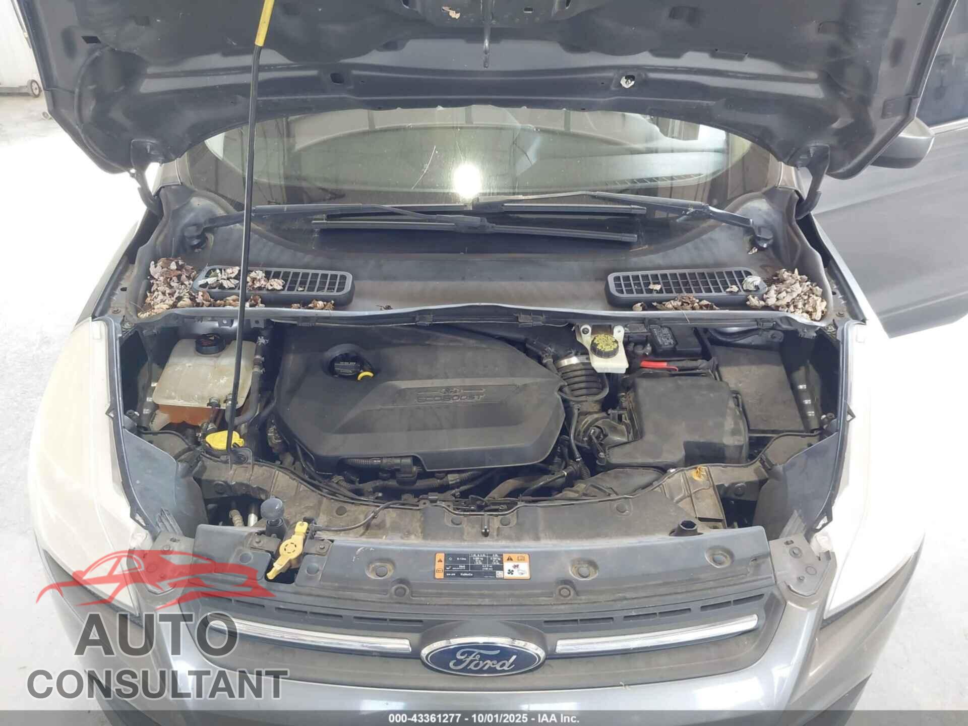 FORD ESCAPE 2014 - 1FMCU9GX9EUC51149