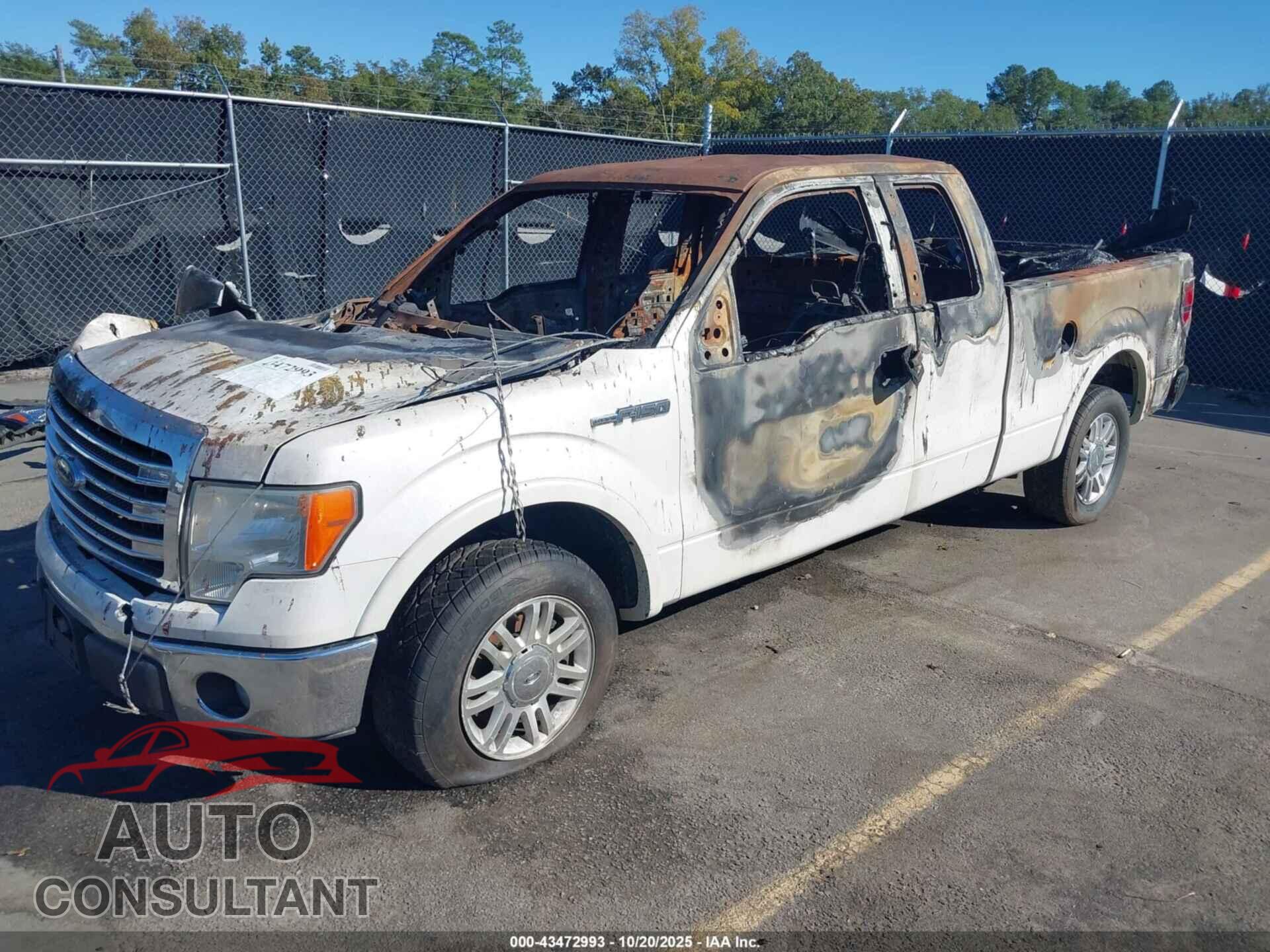 FORD F-150 2013 - 1FTFX1CF5DFD74912