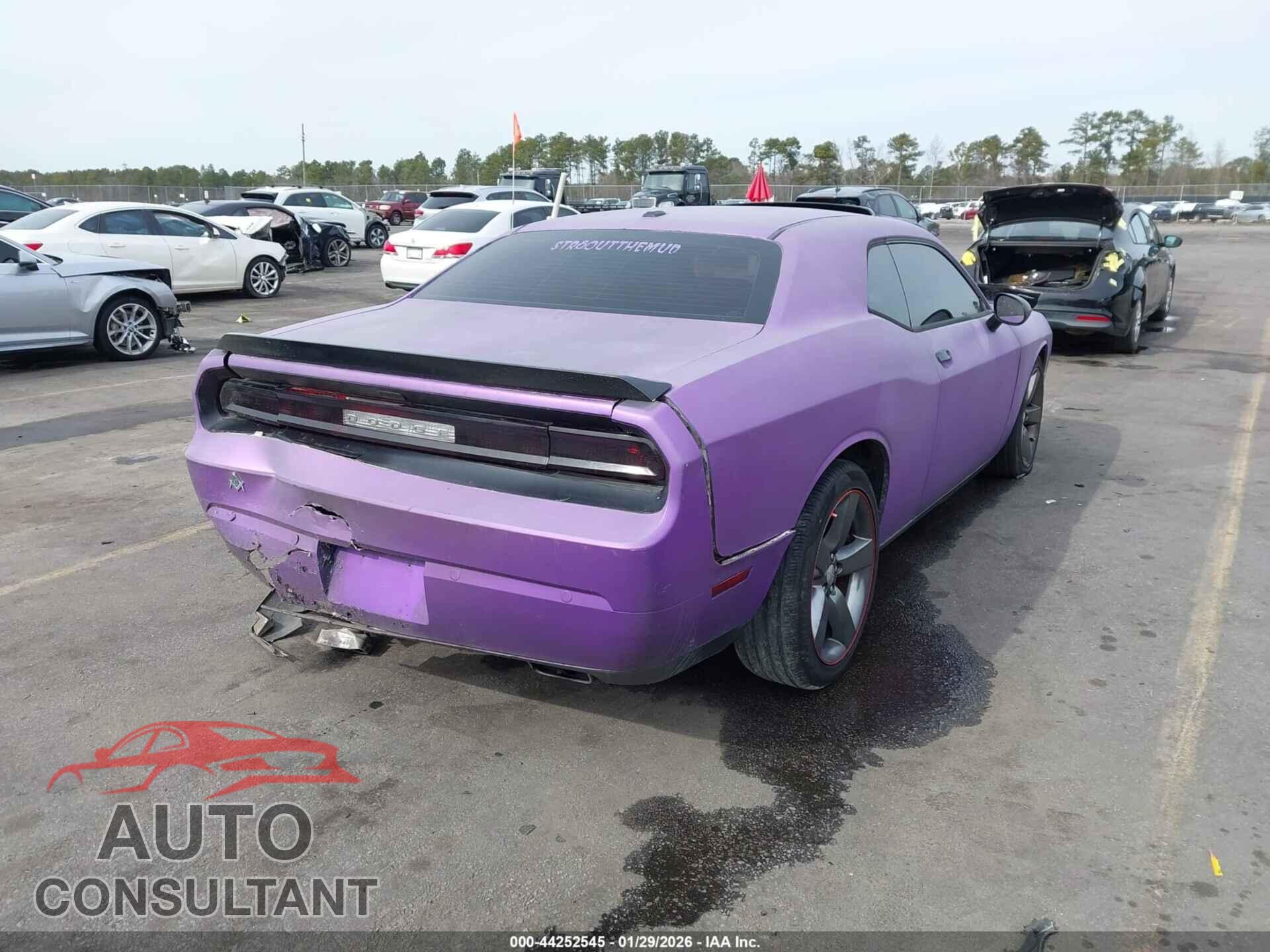 DODGE CHALLENGER 2013 - 2C3CDYAGXDH650875