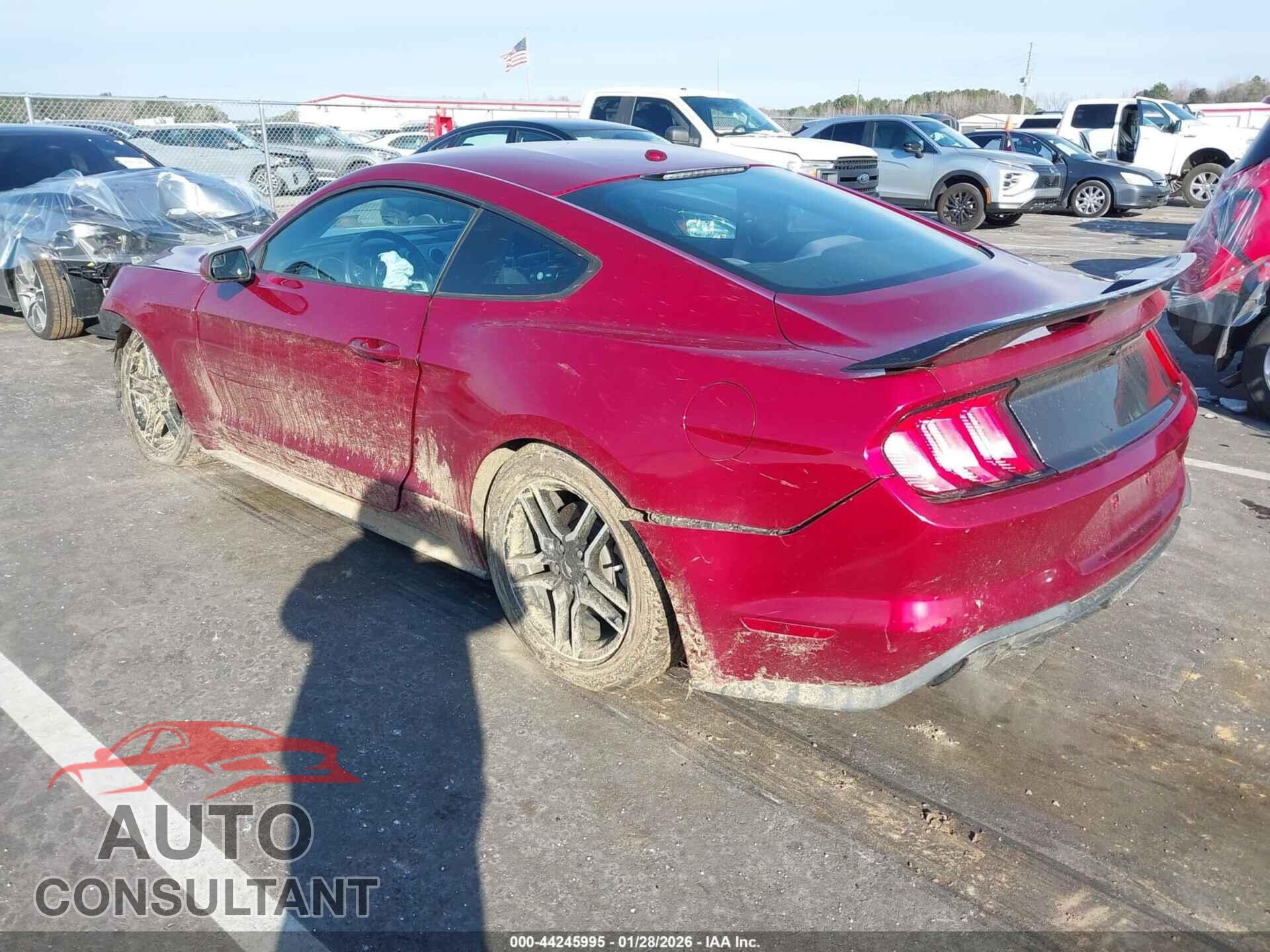 FORD MUSTANG 2019 - 1FA6P8TH3K5185100