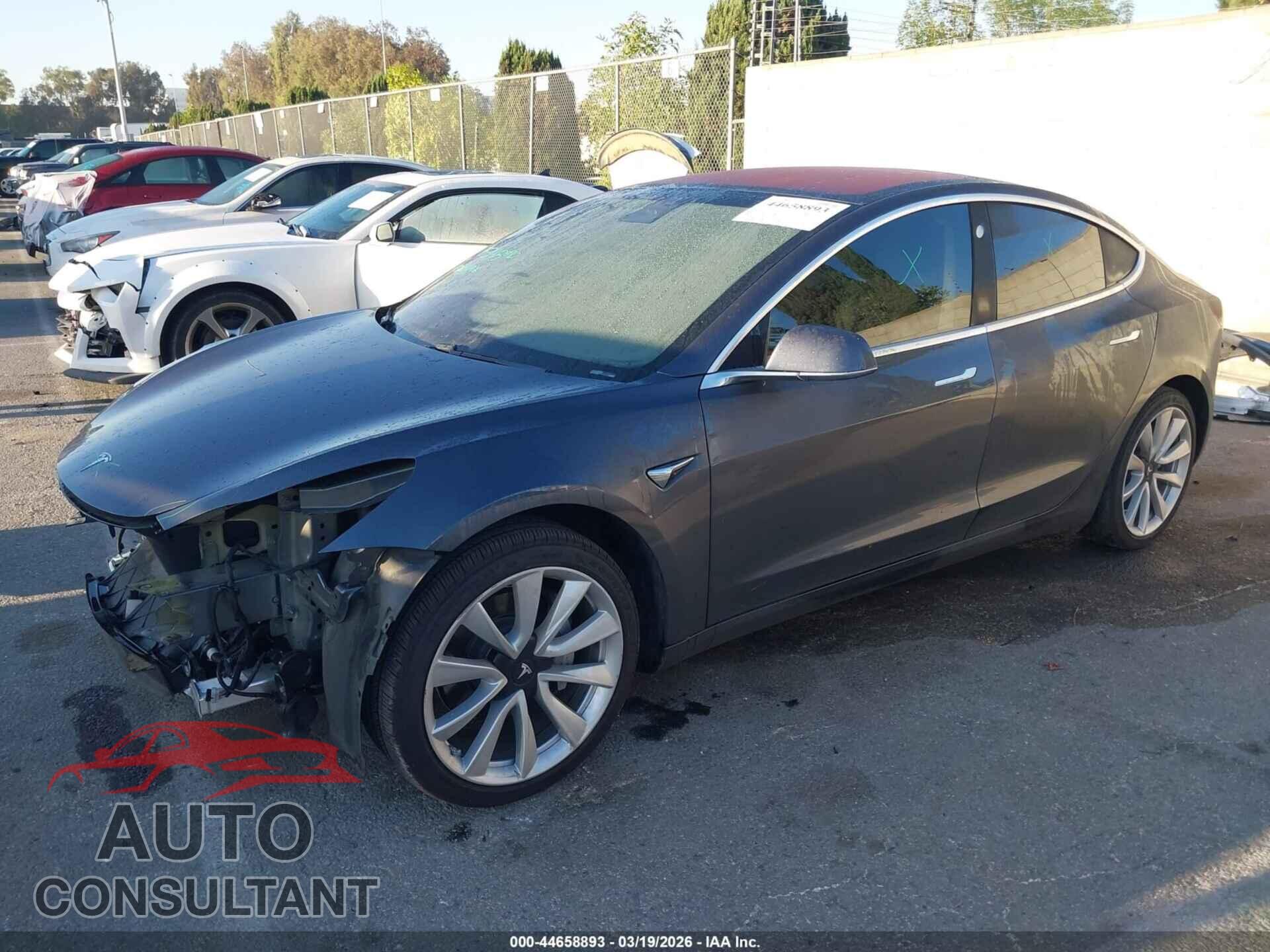 TESLA MODEL 3 2019 - 5YJ3E1EA1KF300835